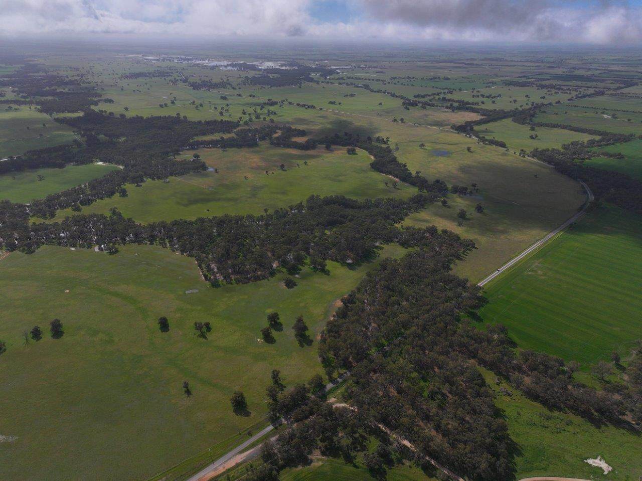 C/A Borung - Prairie Road & Hurstwood School Road, Bears Lagoon For Sale by Farmbuy.com - image 18