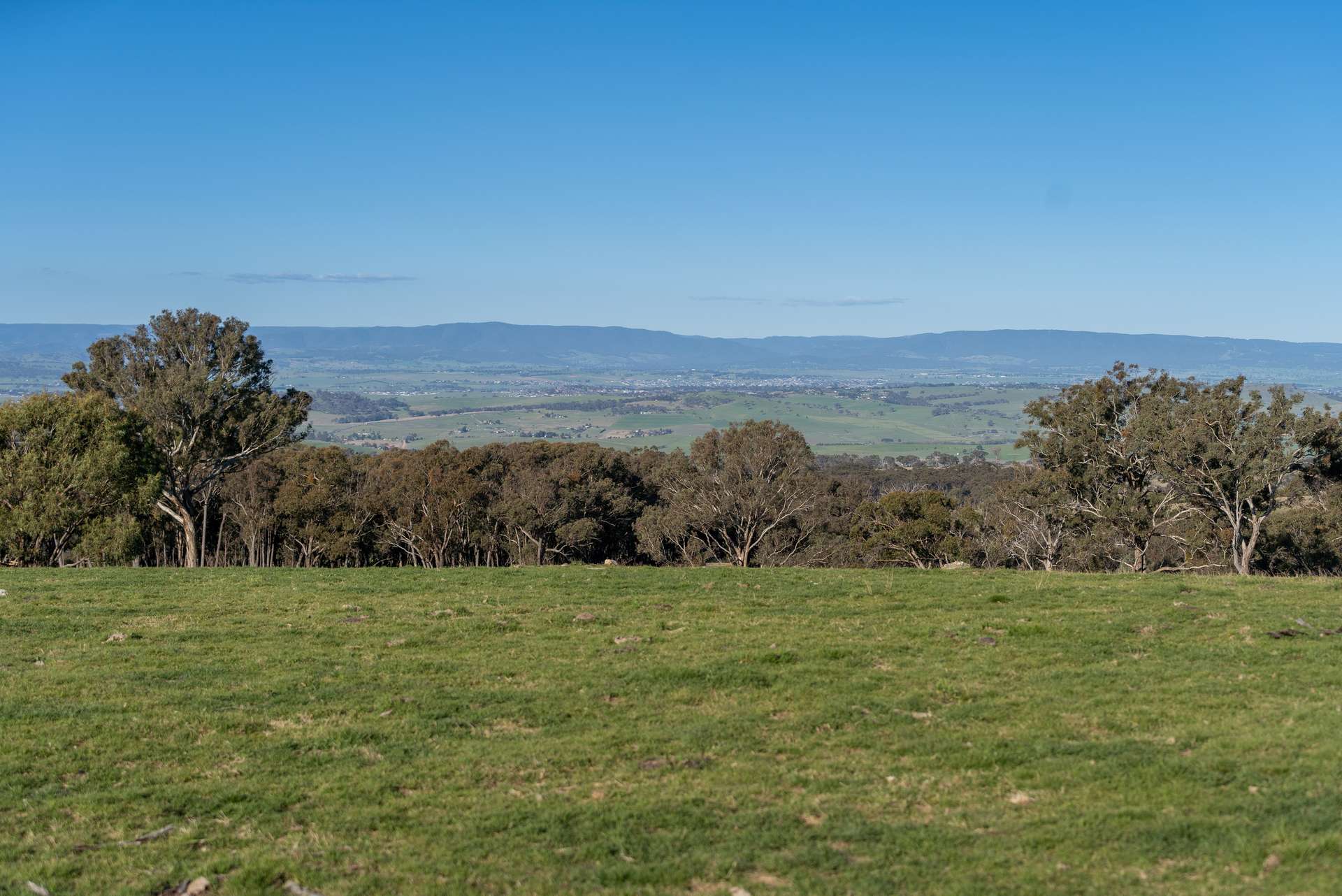 2097 Mitchell Highway, Vittoria Auction by Farmbuy.com - image 30