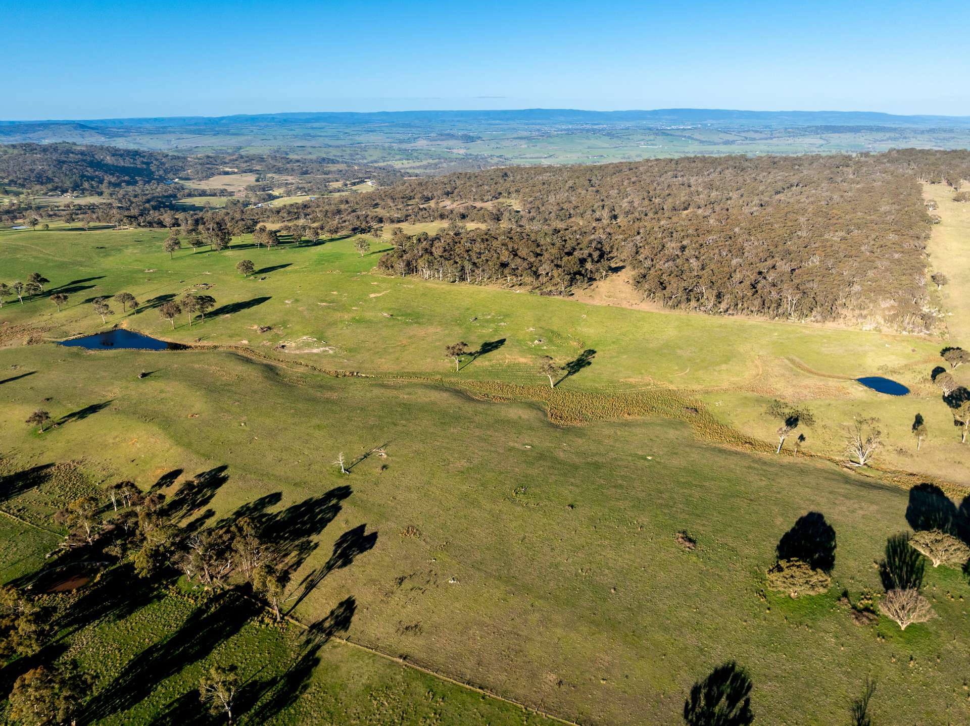 2097 Mitchell Highway, Vittoria Auction by Farmbuy.com - image 11