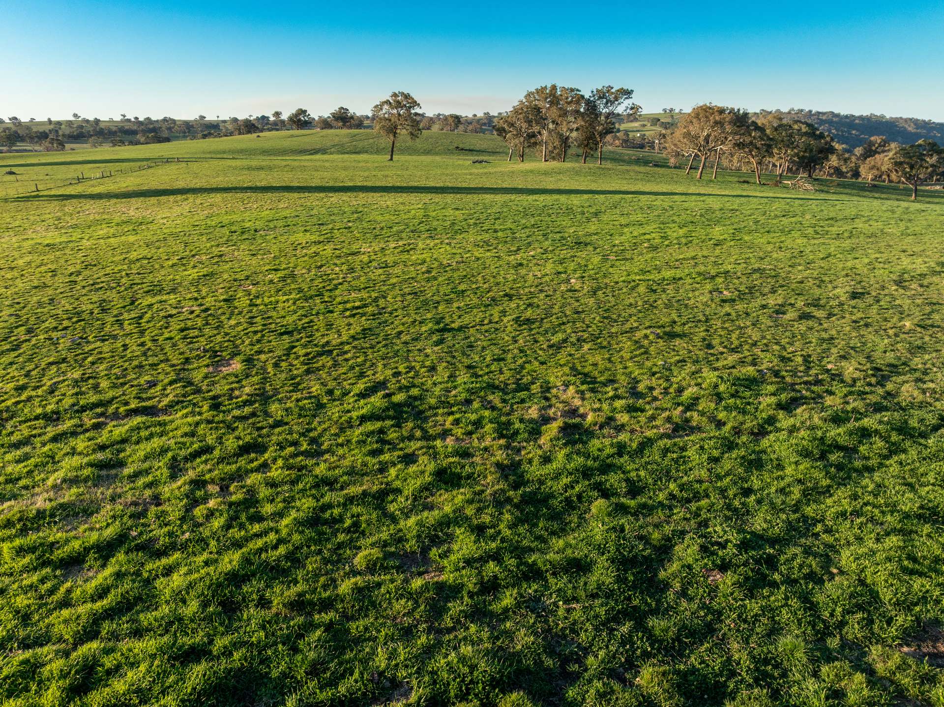 2097 Mitchell Highway, Vittoria Auction by Farmbuy.com - image 17