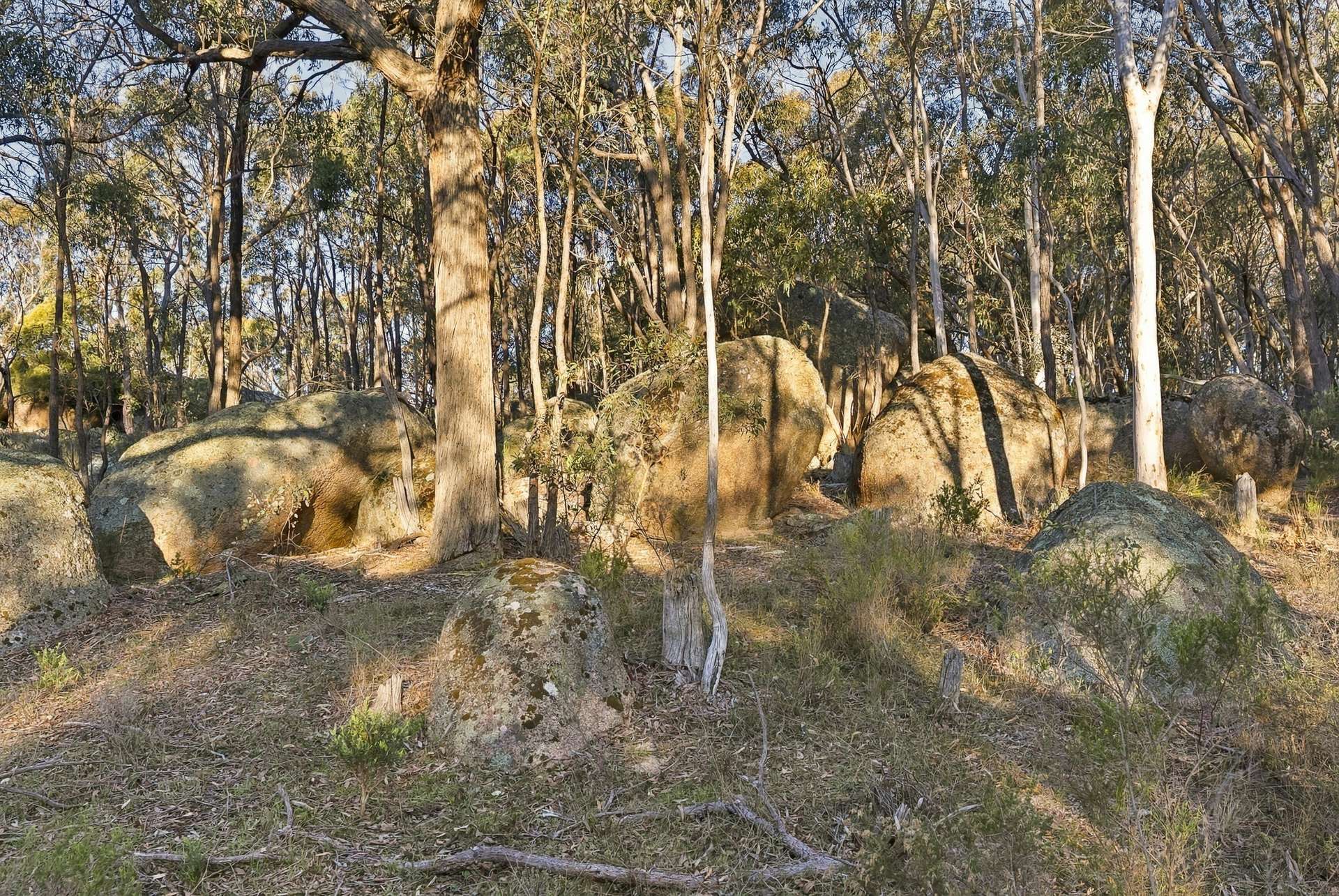 2097 Mitchell Highway, Vittoria Auction by Farmbuy.com - image 29