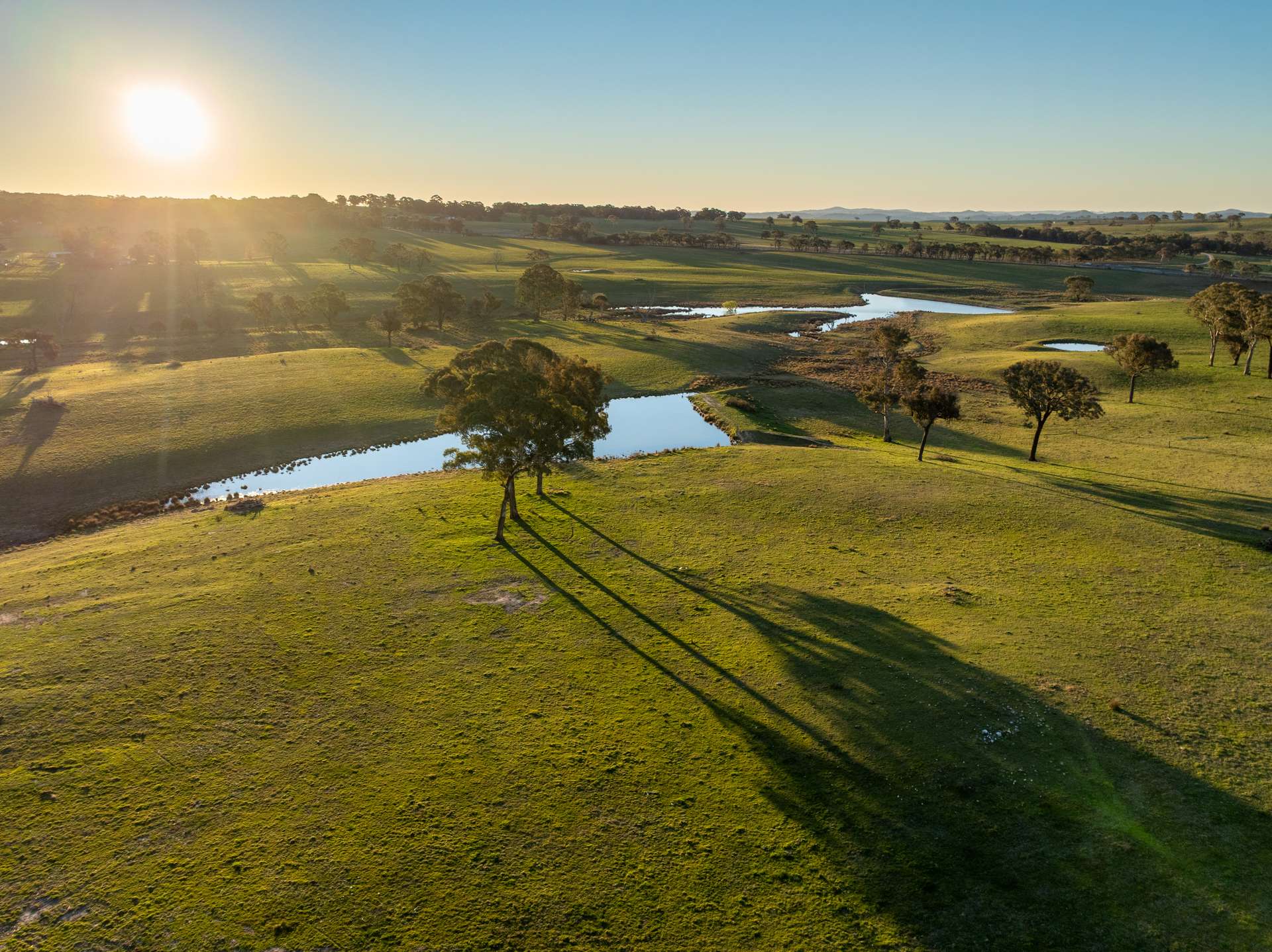 2097 Mitchell Highway, Vittoria Auction by Farmbuy.com - image 24