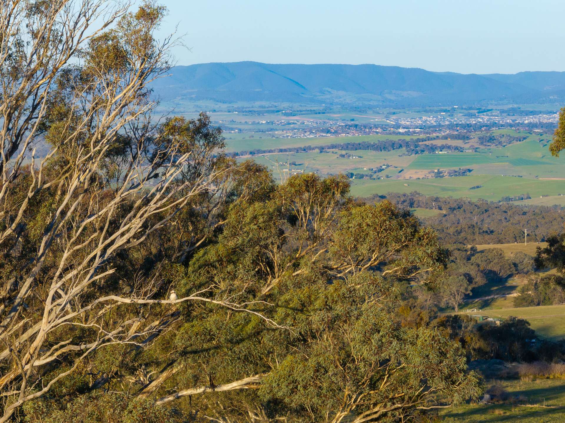 2097 Mitchell Highway, Vittoria Auction by Farmbuy.com - image 22