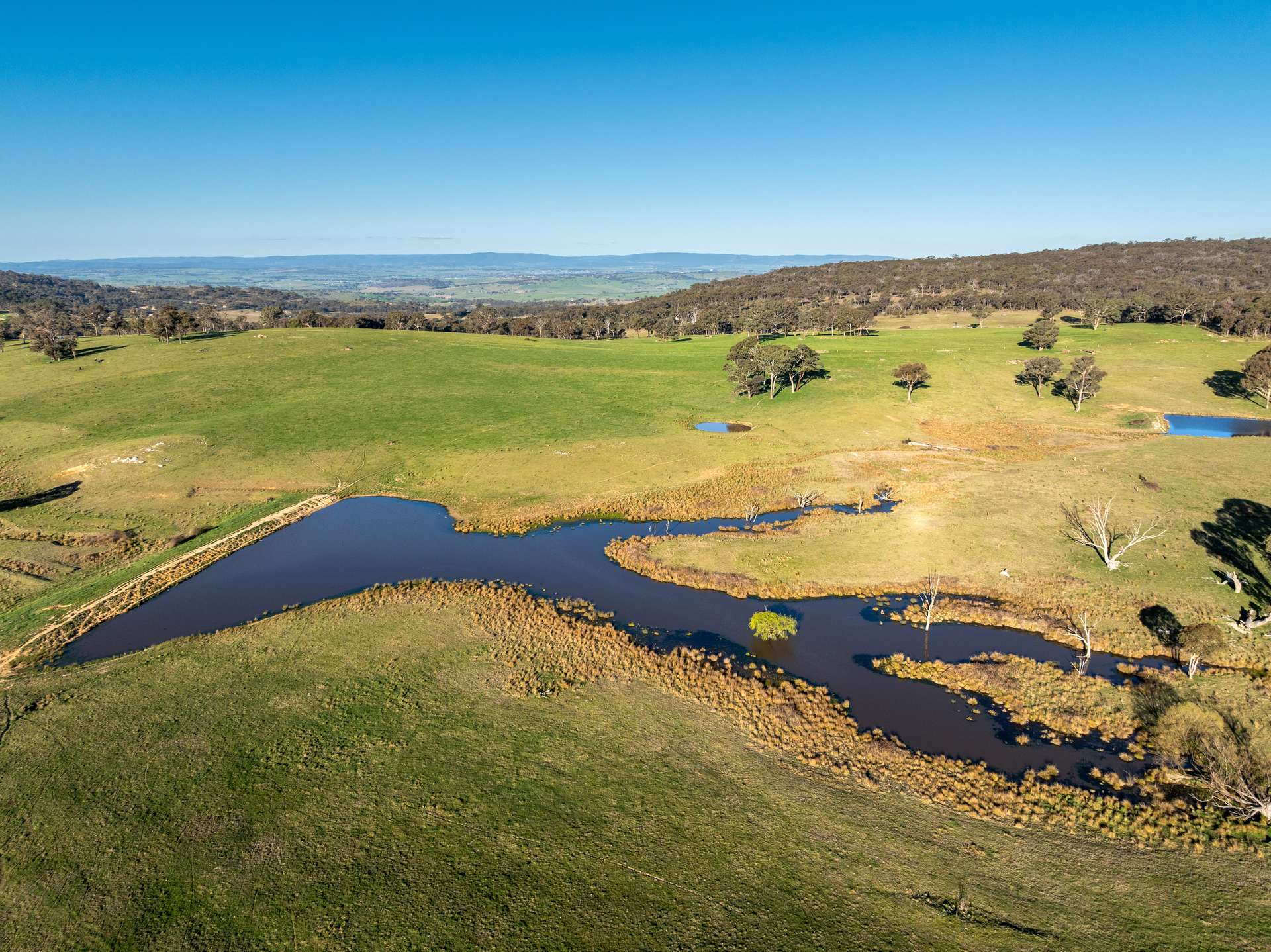 2097 Mitchell Highway, Vittoria Auction by Farmbuy.com - image 9