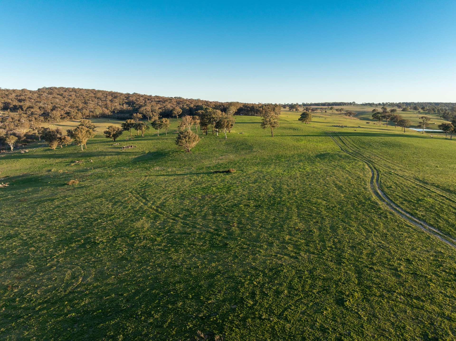 2097 Mitchell Highway, Vittoria Auction by Farmbuy.com - image 23