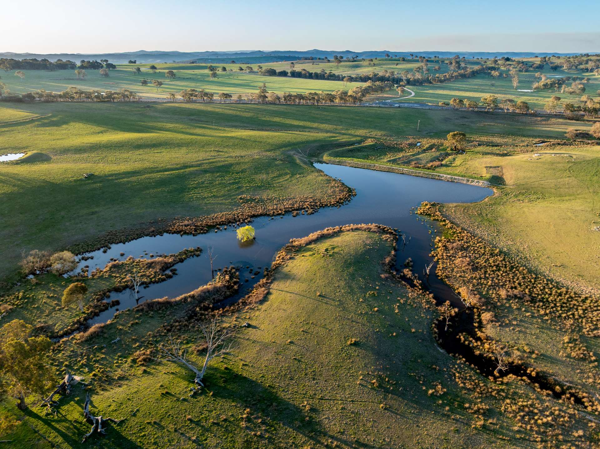2097 Mitchell Highway, Vittoria Auction by Farmbuy.com - image 26