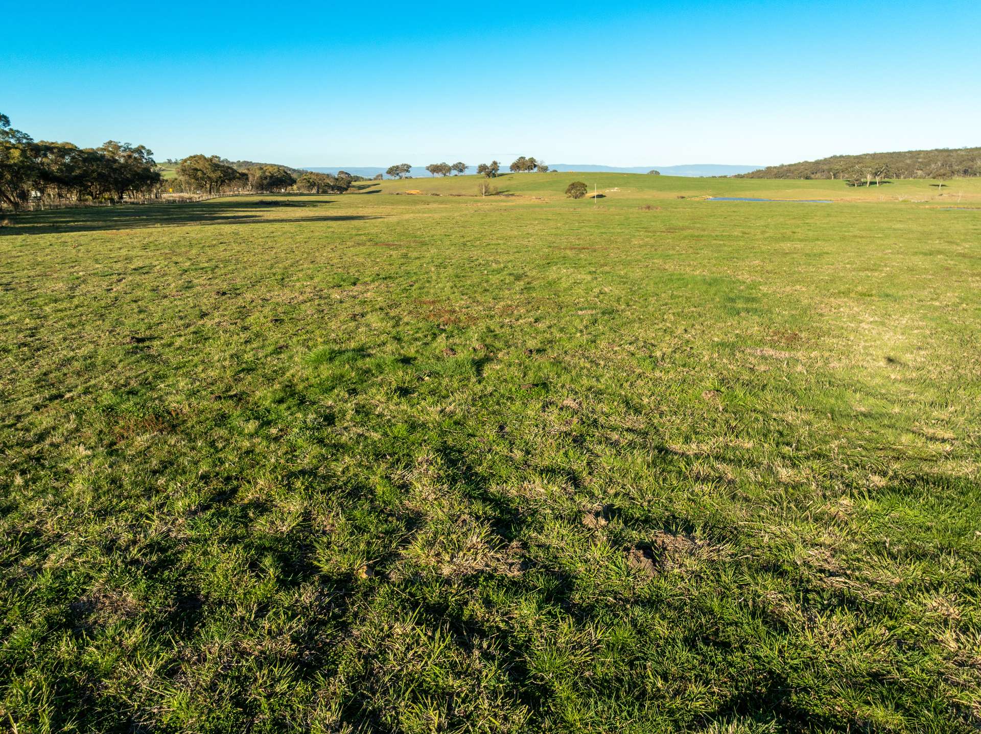 2097 Mitchell Highway, Vittoria Auction by Farmbuy.com - image 13