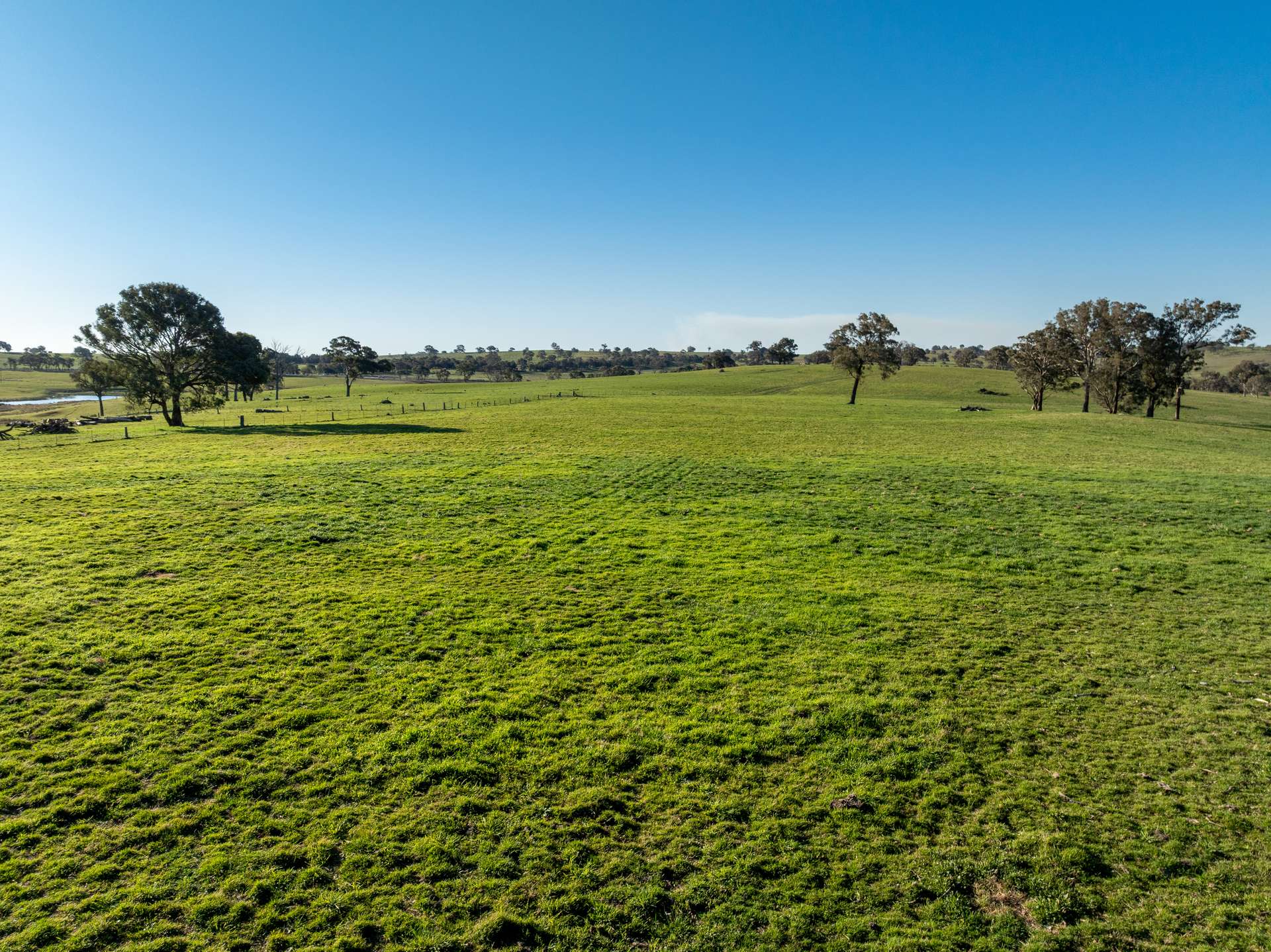 2097 Mitchell Highway, Vittoria Auction by Farmbuy.com - image 31
