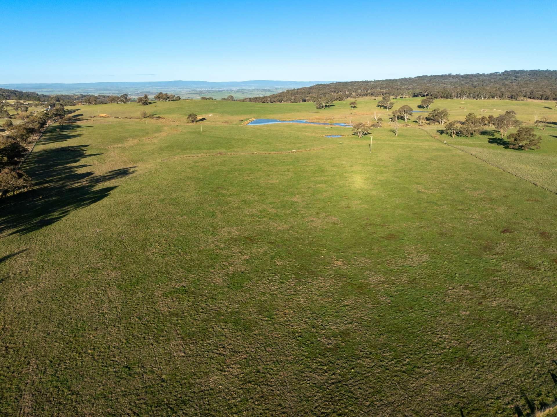 2097 Mitchell Highway, Vittoria Auction by Farmbuy.com - image 12