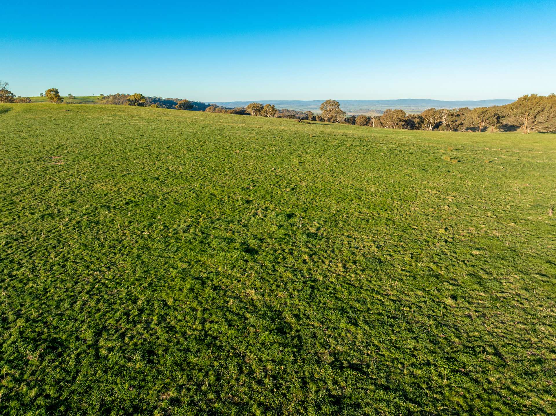 2097 Mitchell Highway, Vittoria Auction by Farmbuy.com - image 19