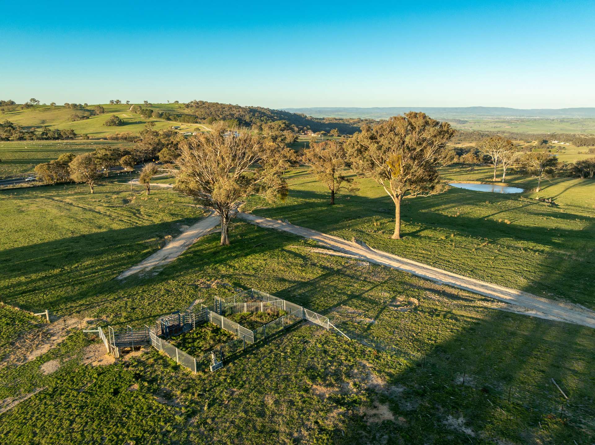 2097 Mitchell Highway, Vittoria Auction by Farmbuy.com - image 20