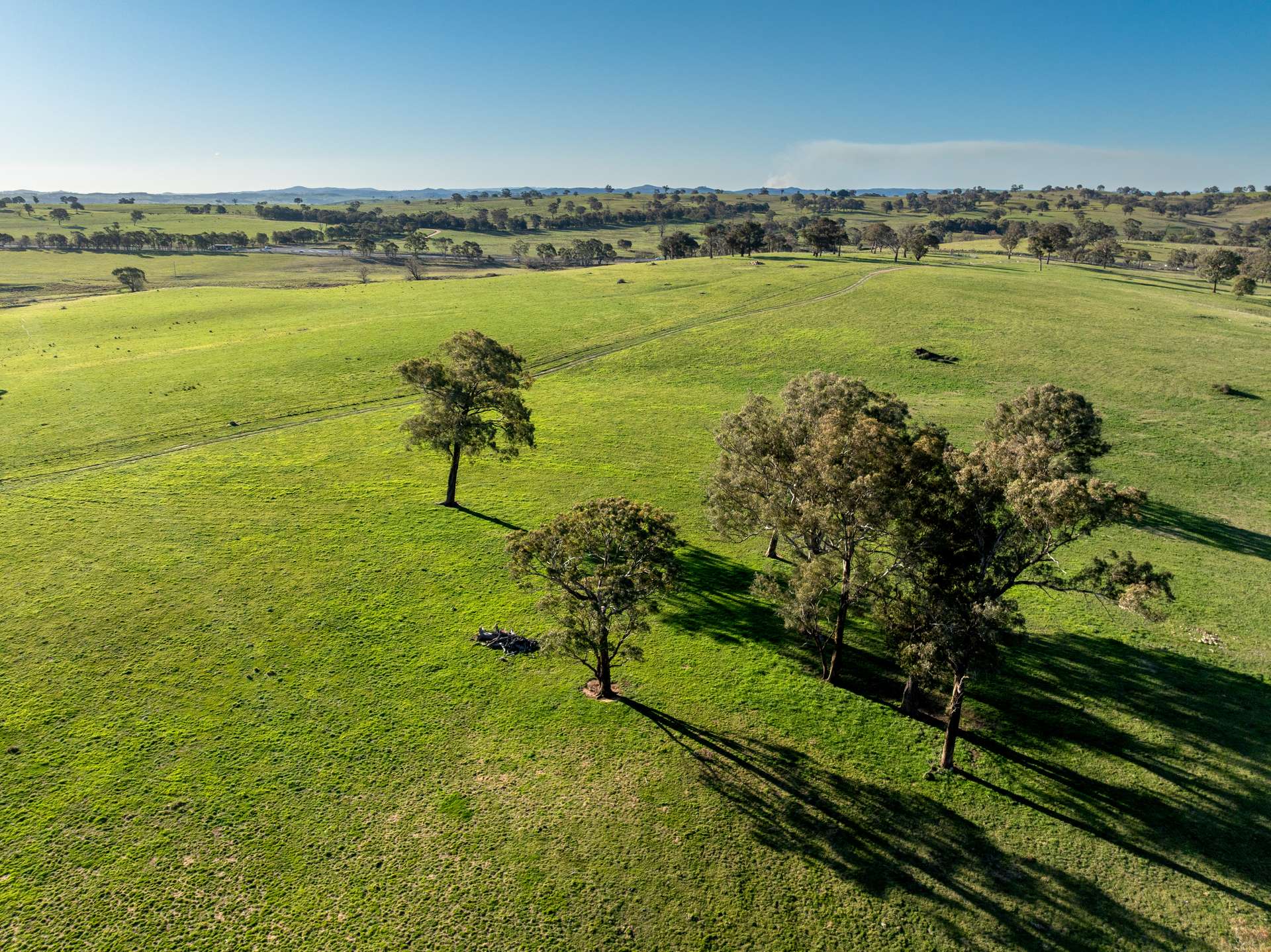 2097 Mitchell Highway, Vittoria Auction by Farmbuy.com - image 5