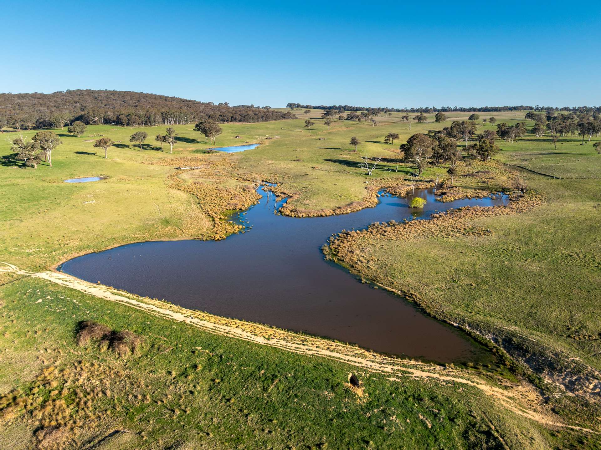 2097 Mitchell Highway, Vittoria Auction by Farmbuy.com - image 6