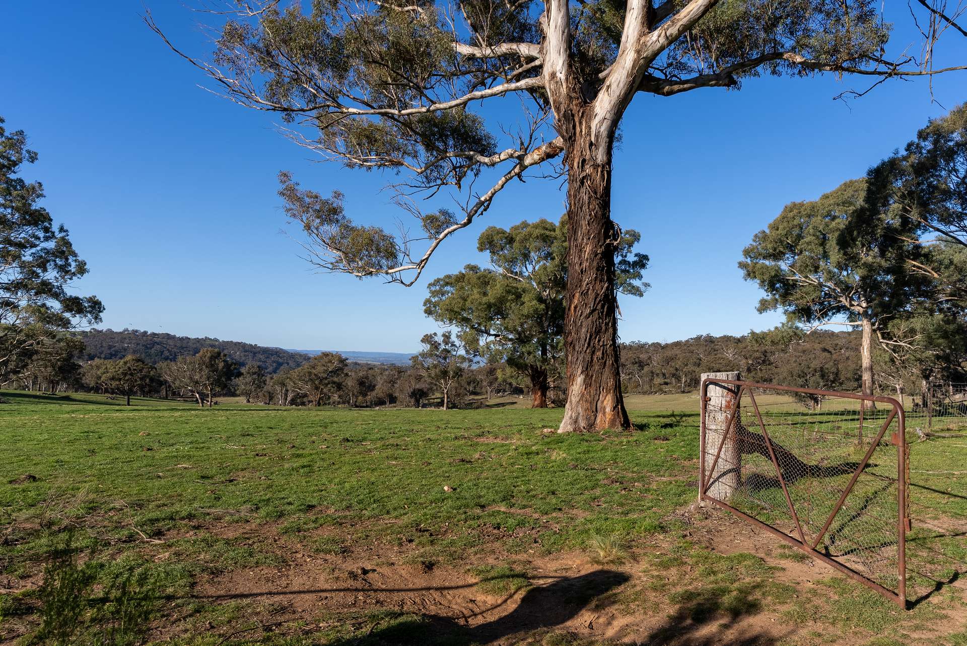 2097 Mitchell Highway, Vittoria Auction by Farmbuy.com - image 32