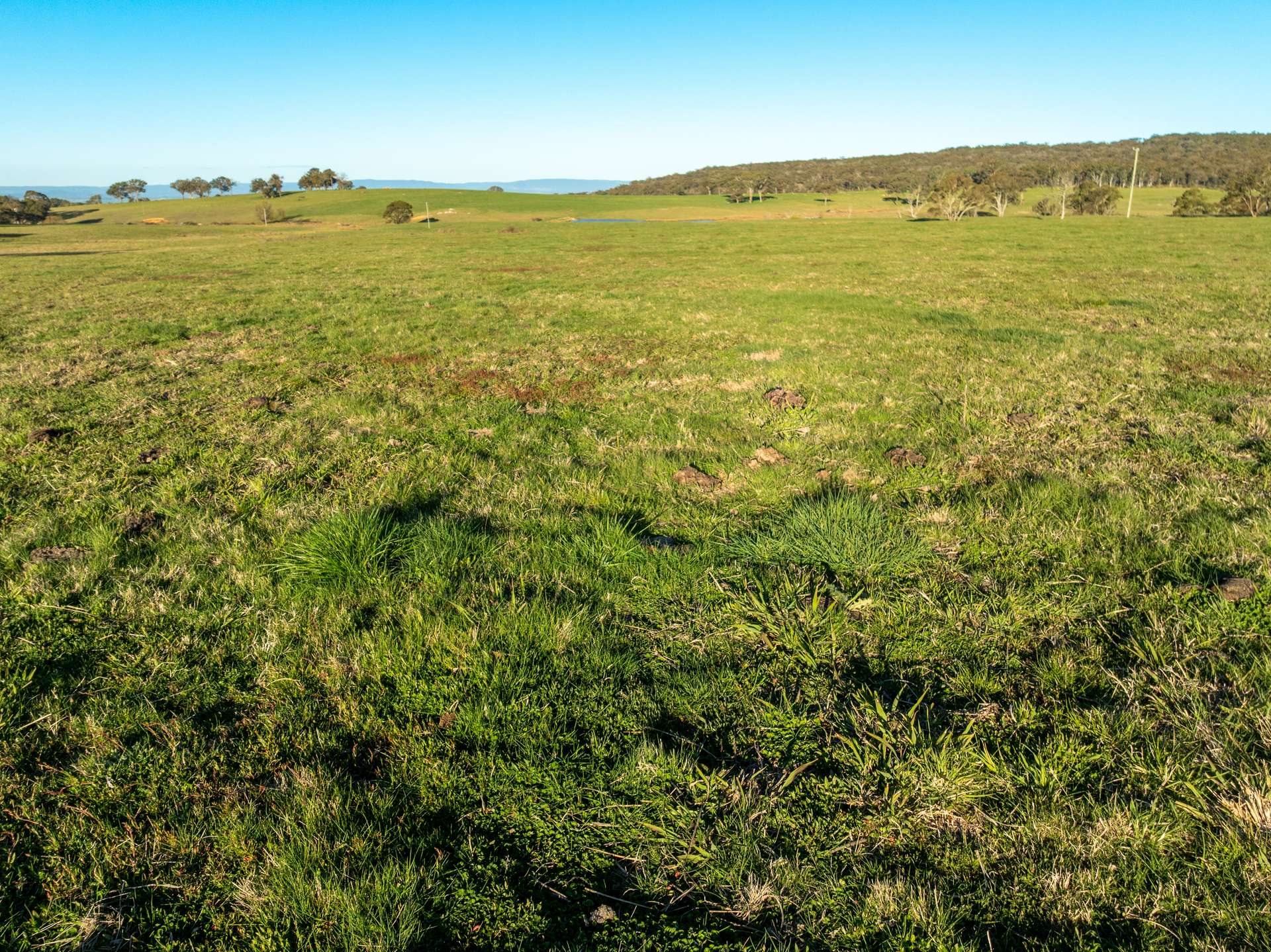 2097 Mitchell Highway, Vittoria Auction by Farmbuy.com - image 14