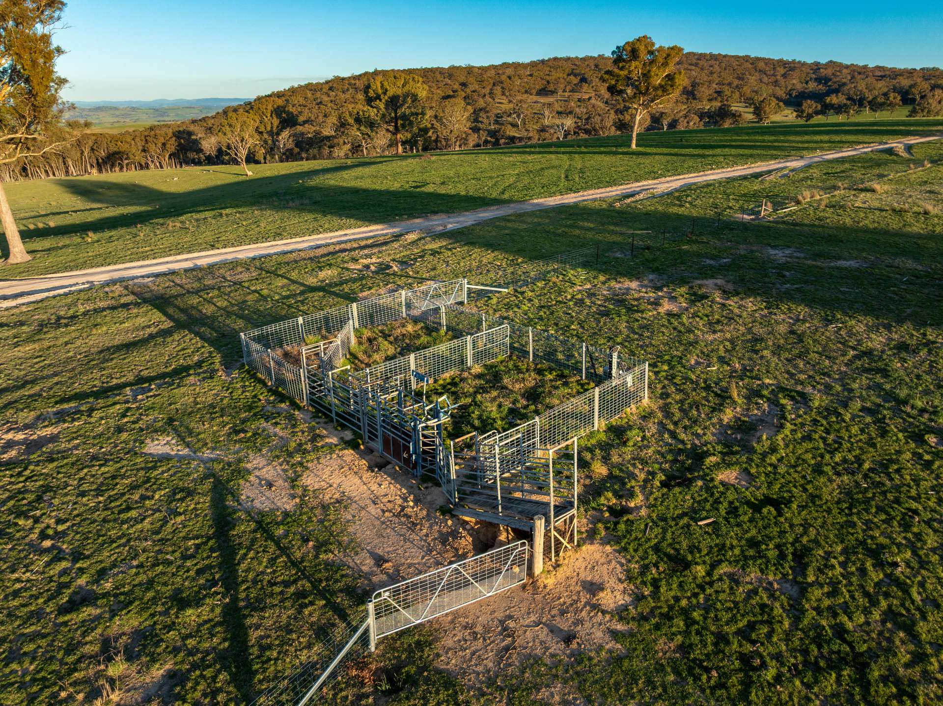 2097 Mitchell Highway, Vittoria Auction by Farmbuy.com - image 21
