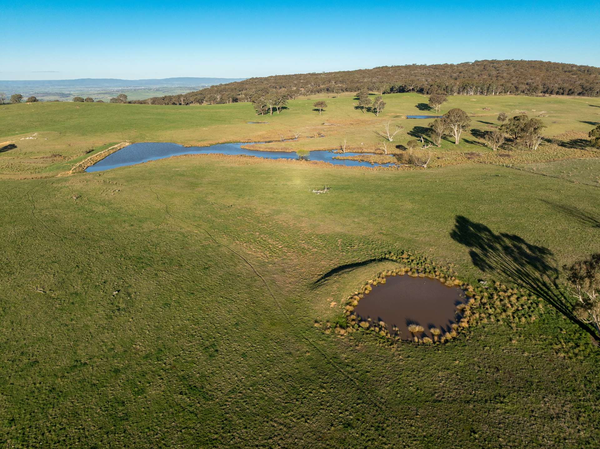 2097 Mitchell Highway, Vittoria Auction by Farmbuy.com - image 15