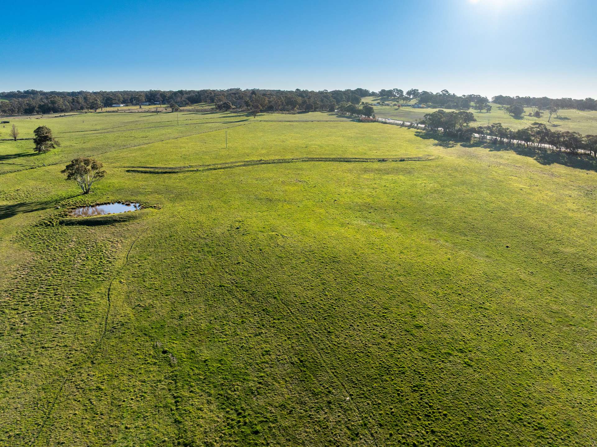 2097 Mitchell Highway, Vittoria Auction by Farmbuy.com - image 8