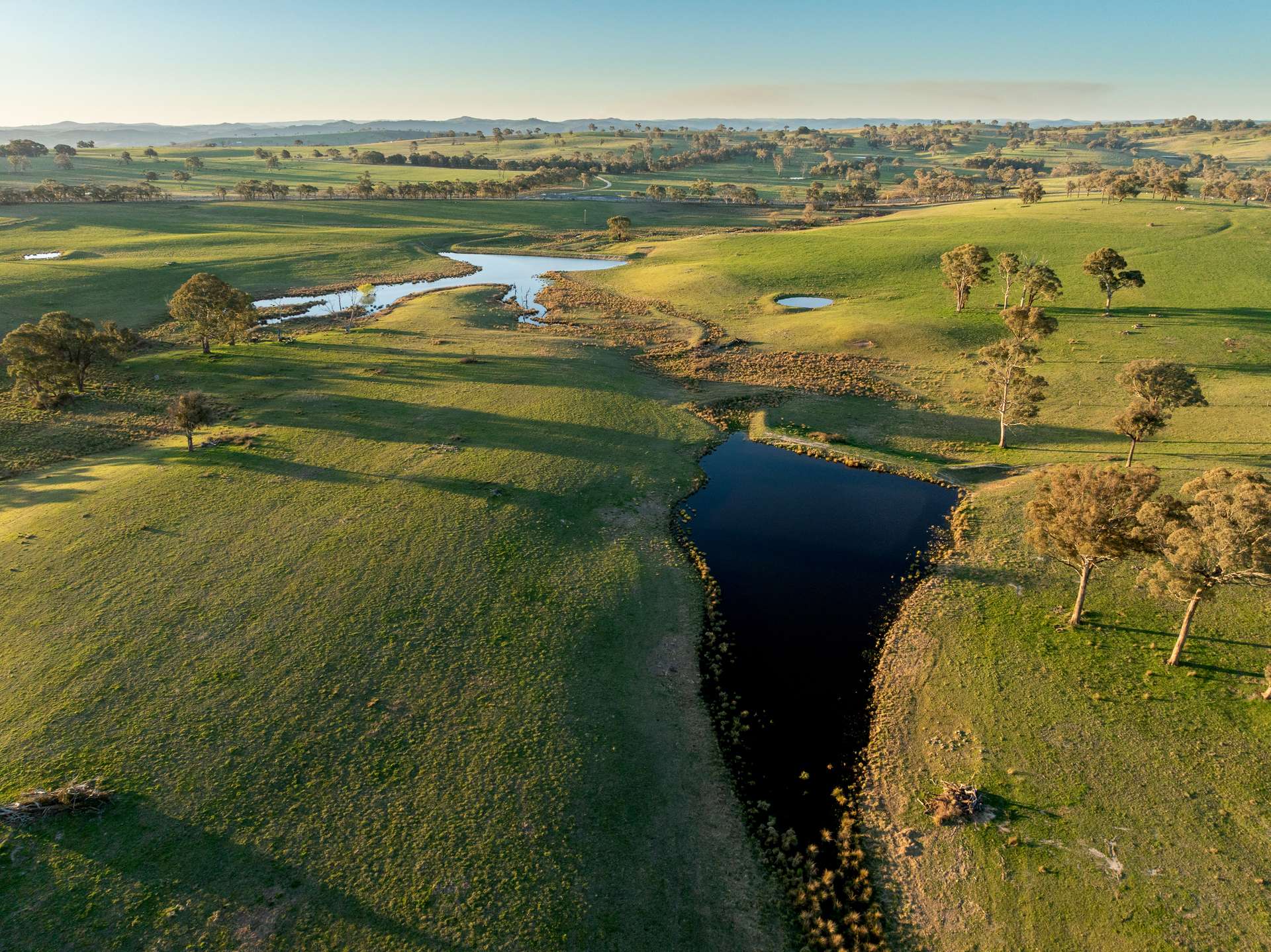 2097 Mitchell Highway, Vittoria Auction by Farmbuy.com - image 25