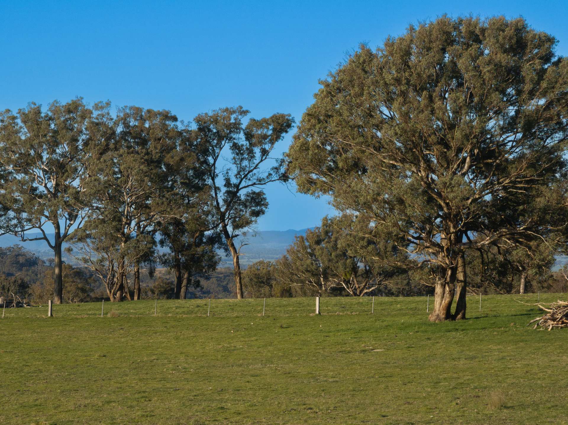 2097 Mitchell Highway, Vittoria Auction by Farmbuy.com - image 16
