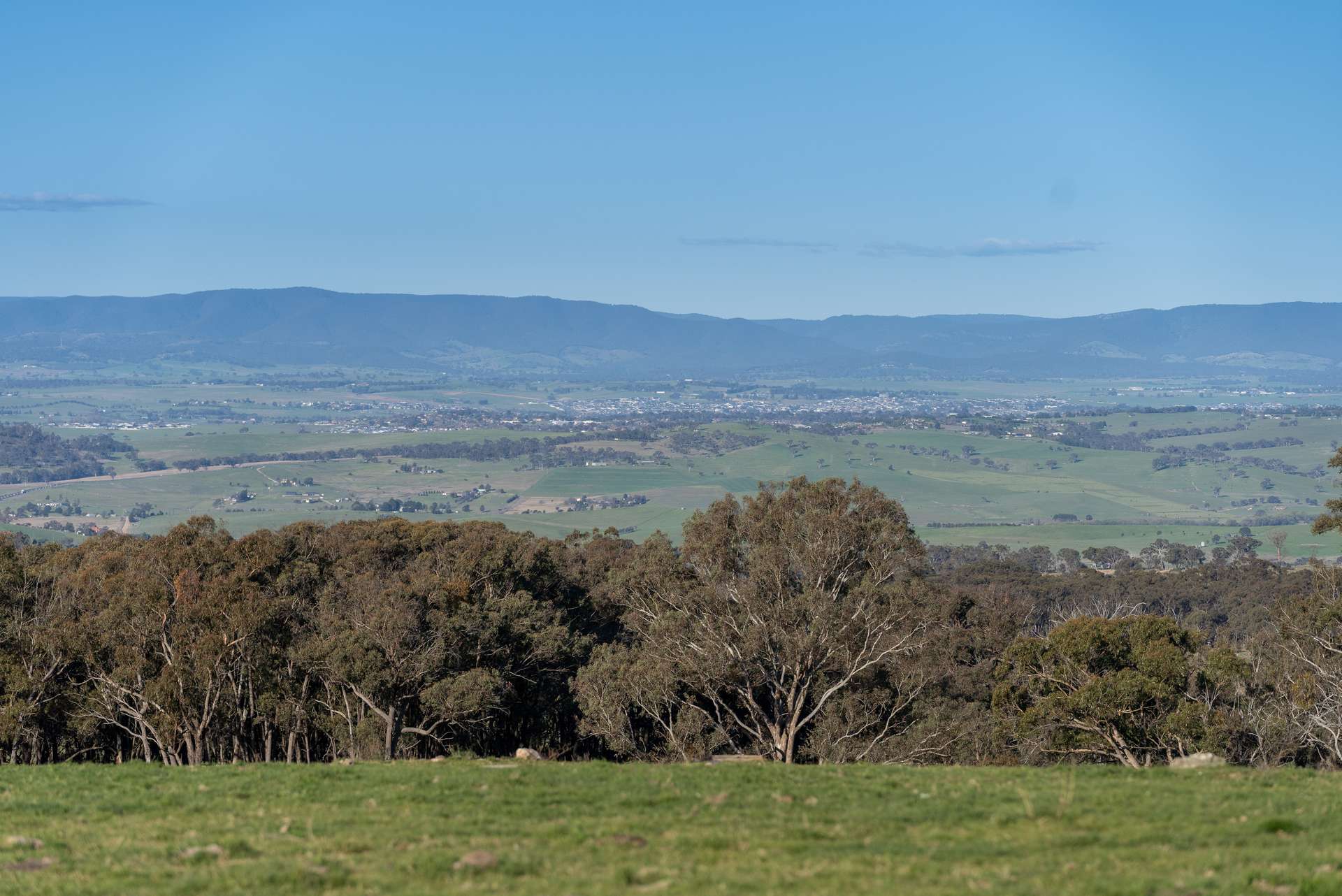 2097 Mitchell Highway, Vittoria Auction by Farmbuy.com - image 3
