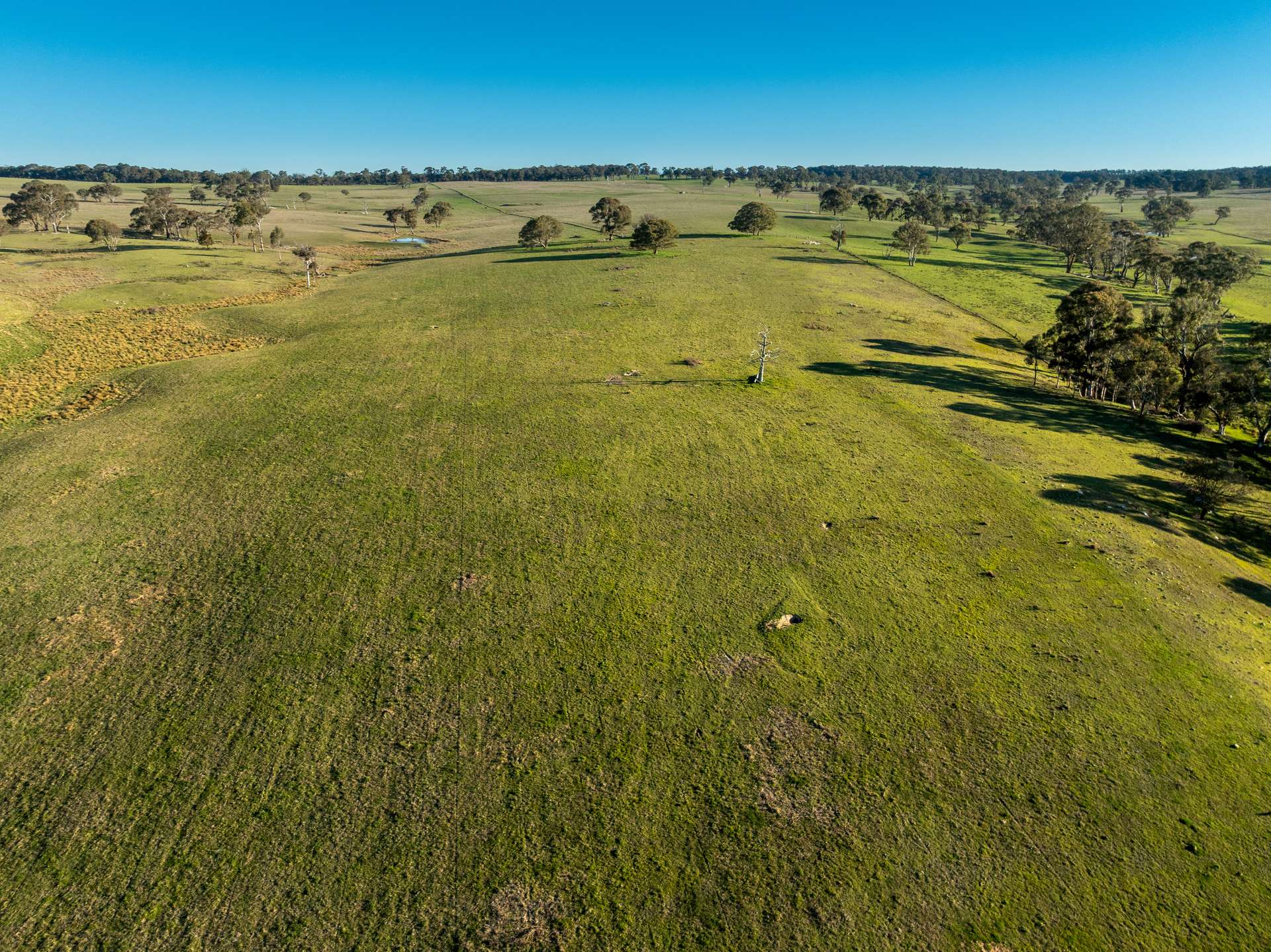 2097 Mitchell Highway, Vittoria Auction by Farmbuy.com - image 10