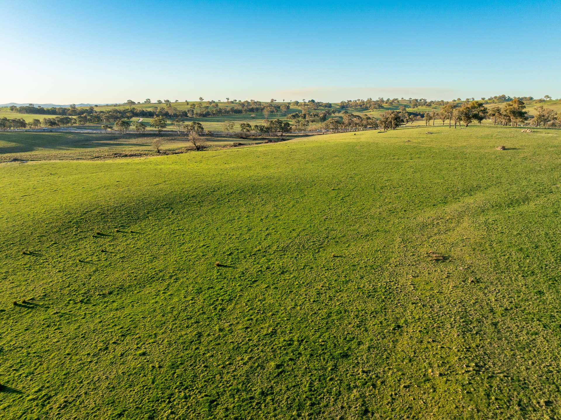 2097 Mitchell Highway, Vittoria Auction by Farmbuy.com - image 18