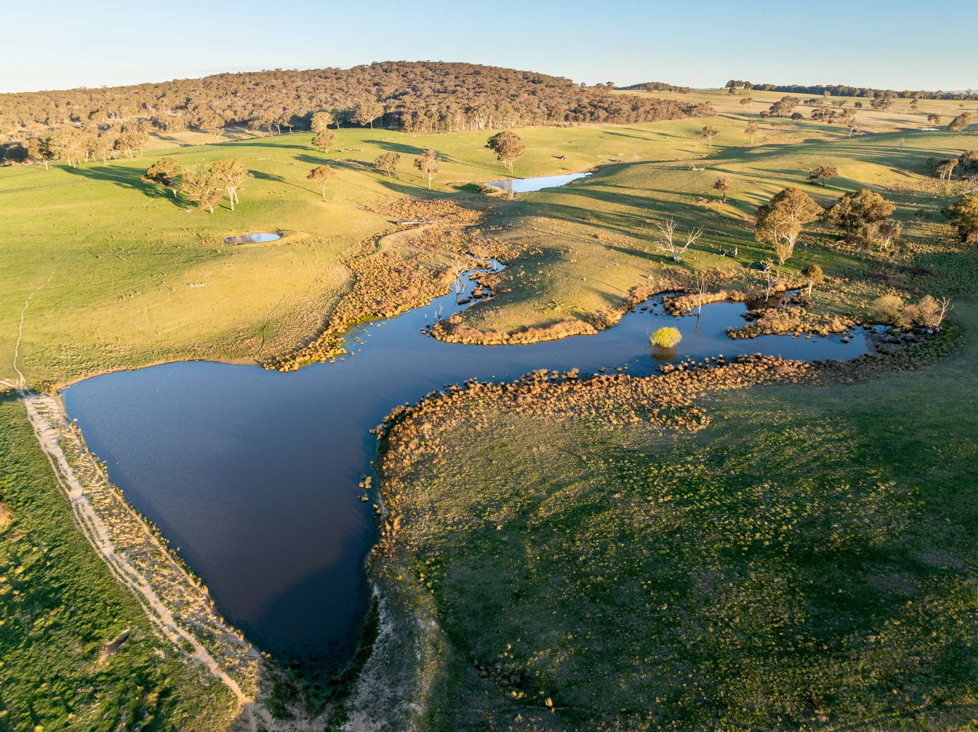 2097 Mitchell Highway, Vittoria Auction by Farmbuy.com - image 27