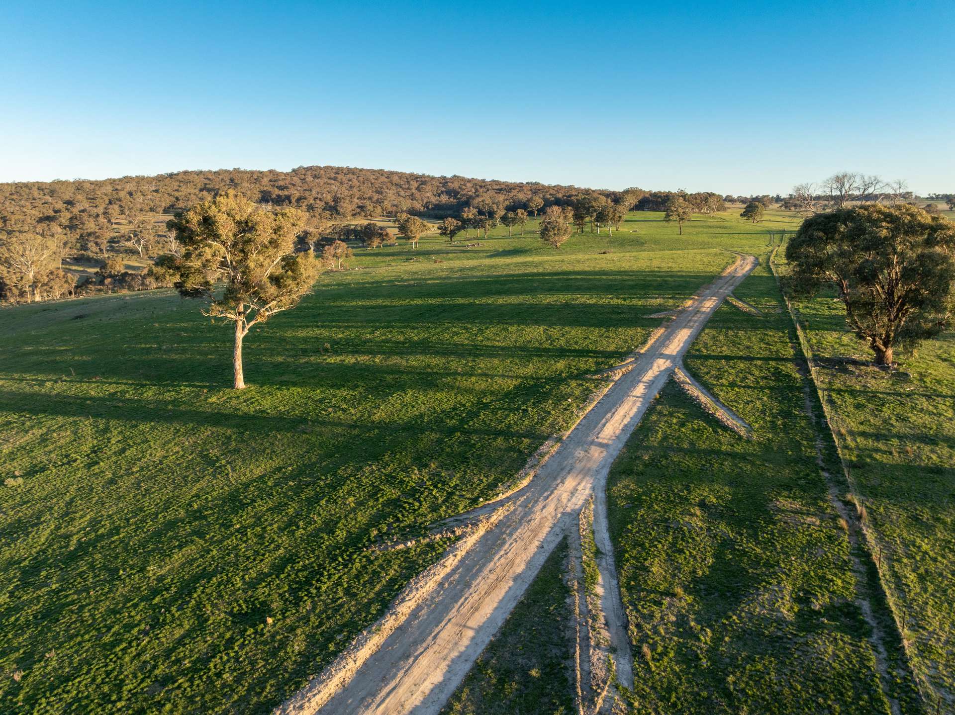 2097 Mitchell Highway, Vittoria Auction by Farmbuy.com - image 2