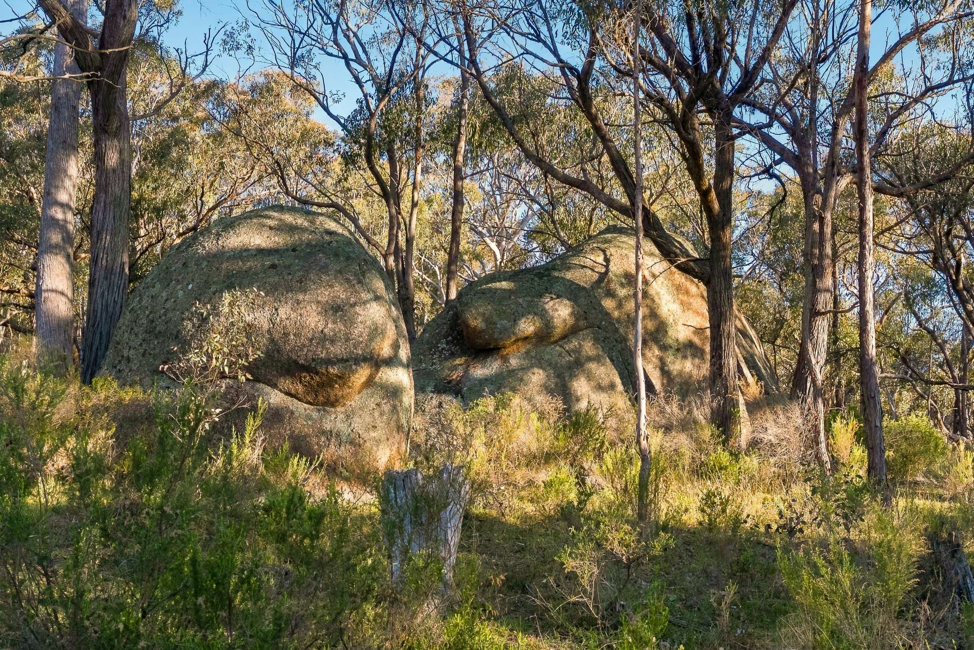 2097 Mitchell Highway, Vittoria Auction by Farmbuy.com - image 28