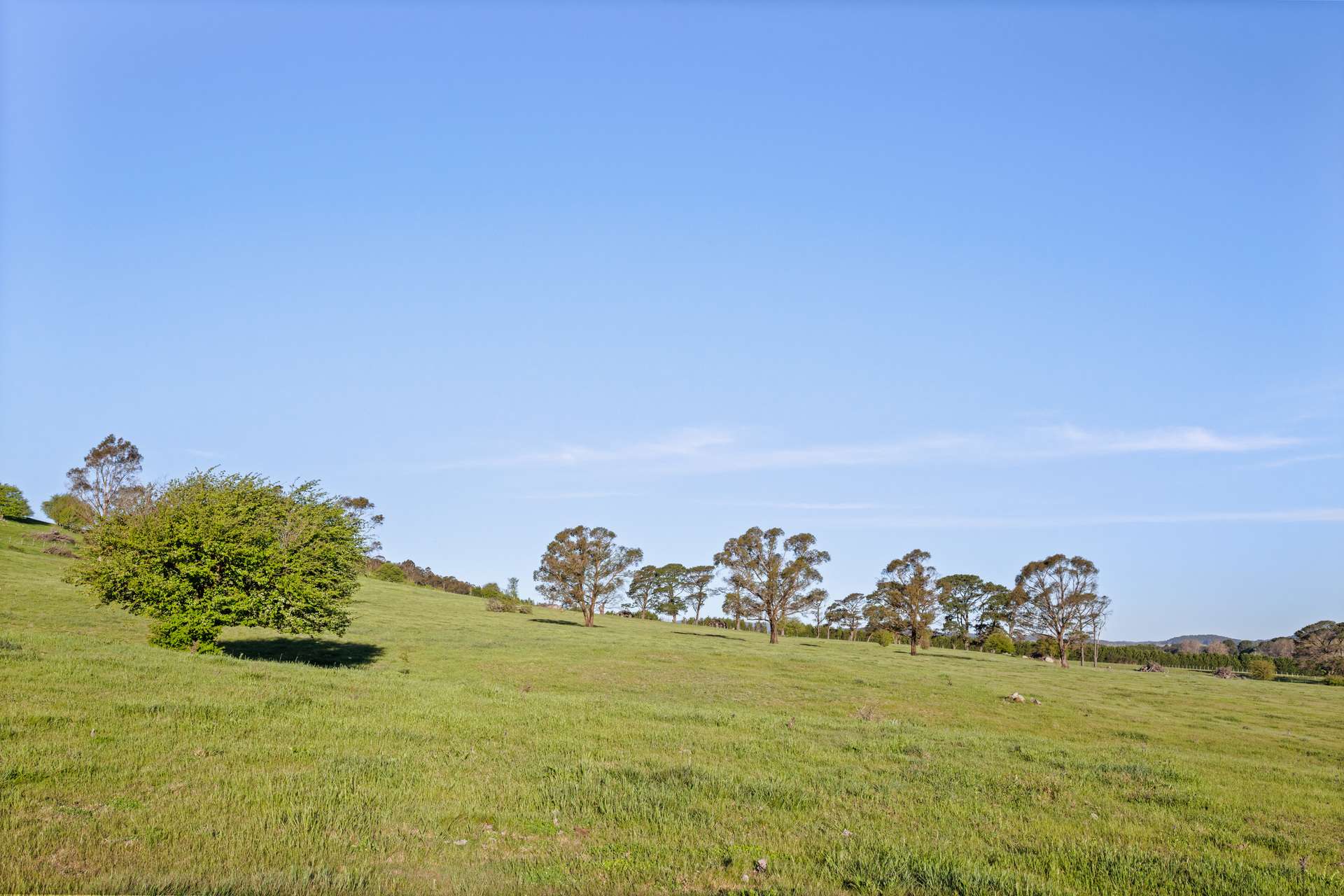 228 Wallace Street, Braidwood For Sale by Farmbuy.com - image 16