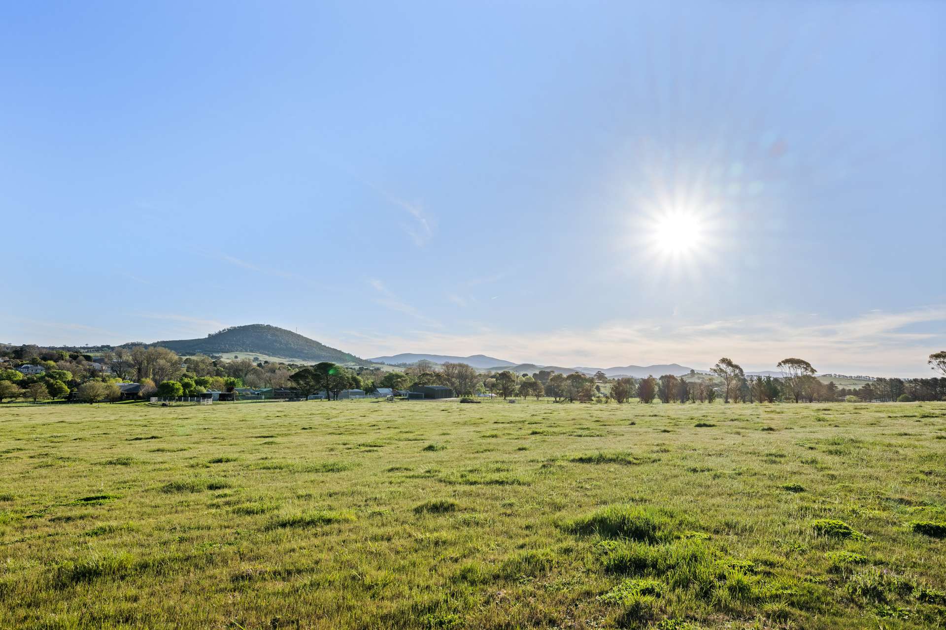 228 Wallace Street, Braidwood For Sale by Farmbuy.com - image 18