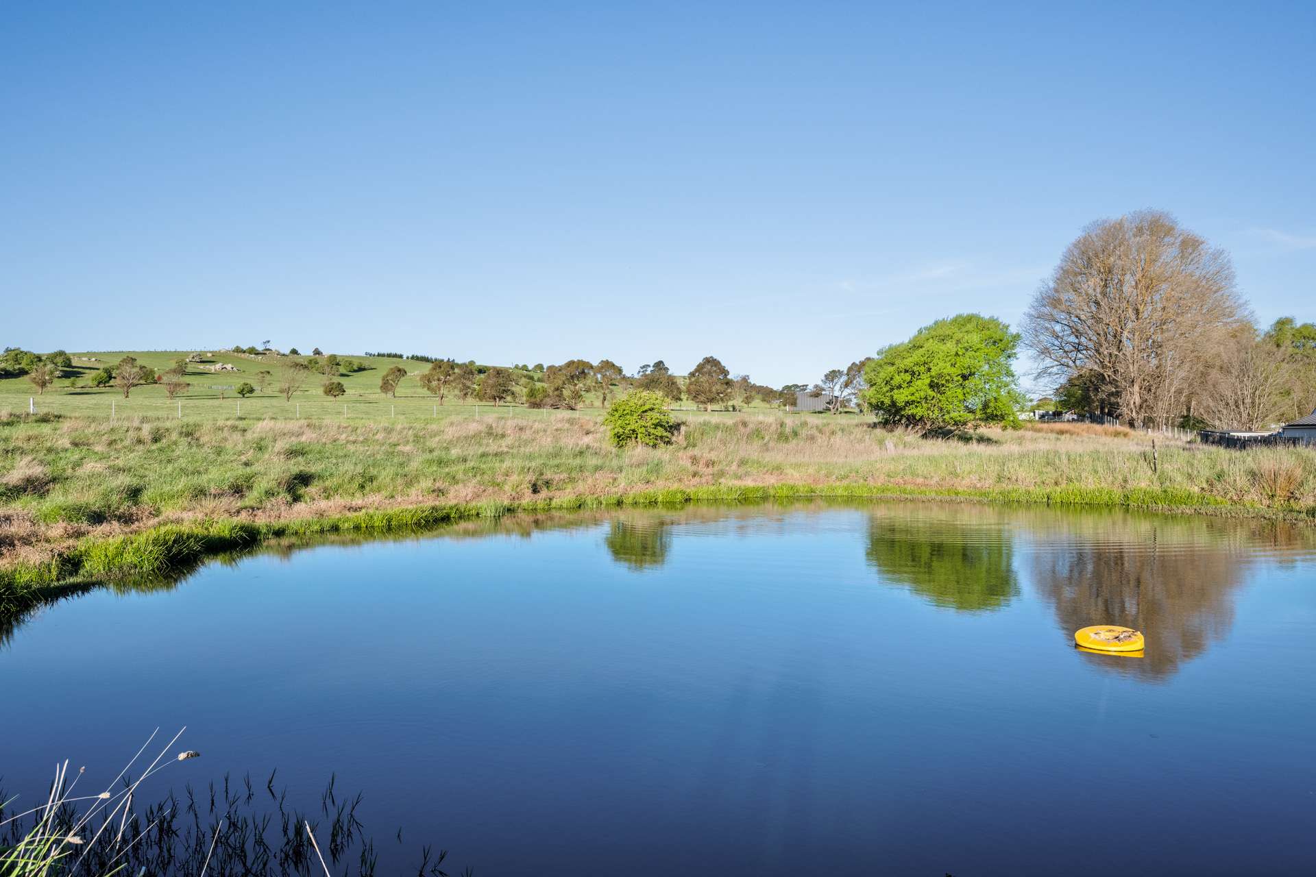 228 Wallace Street, Braidwood For Sale by Farmbuy.com - image 6