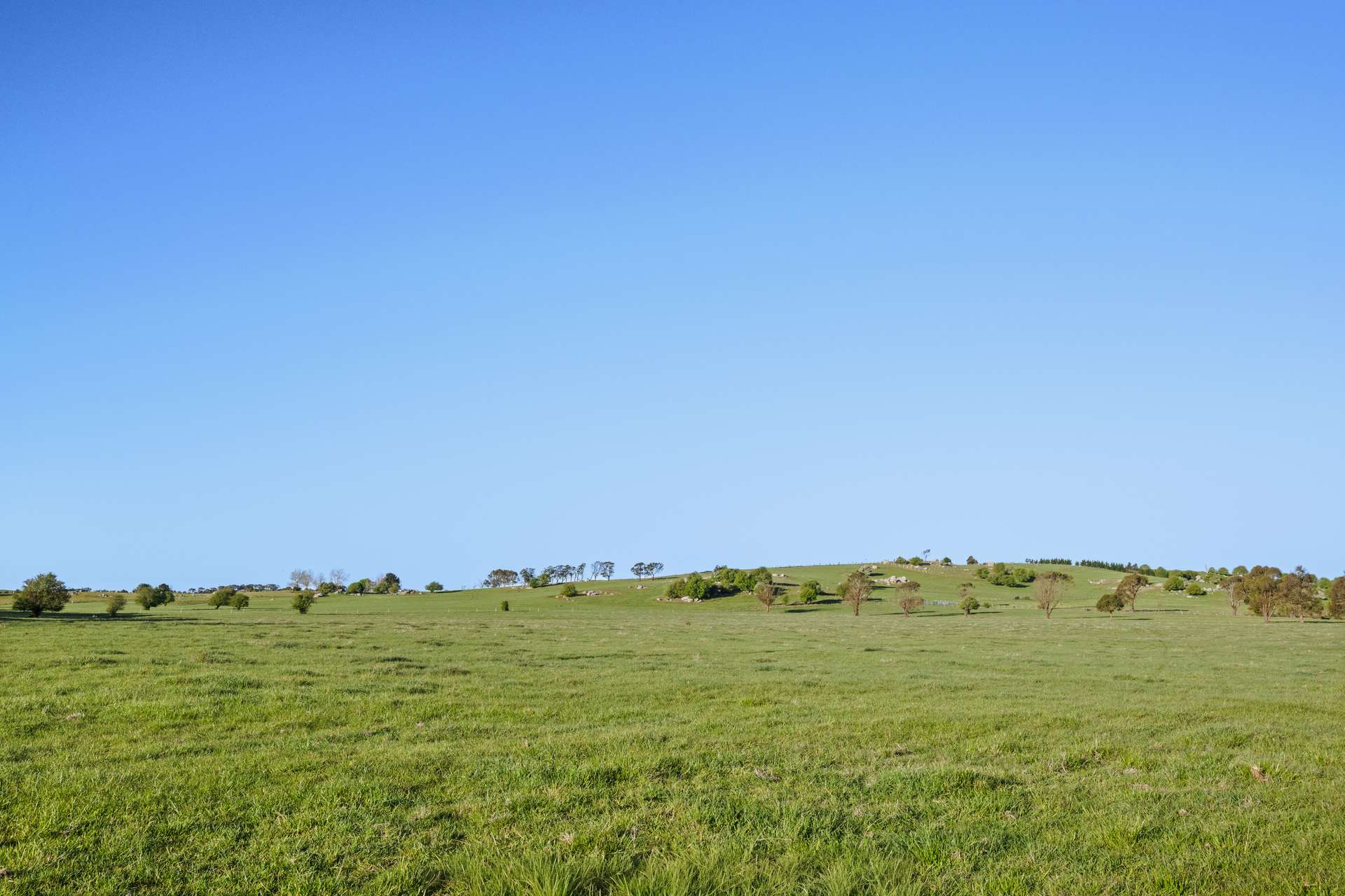 228 Wallace Street, Braidwood For Sale by Farmbuy.com - image 29