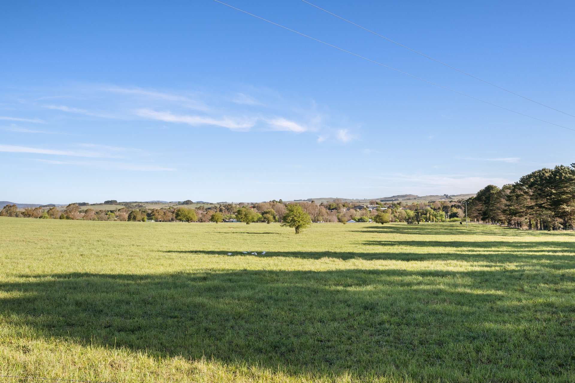 228 Wallace Street, Braidwood For Sale by Farmbuy.com - image 9