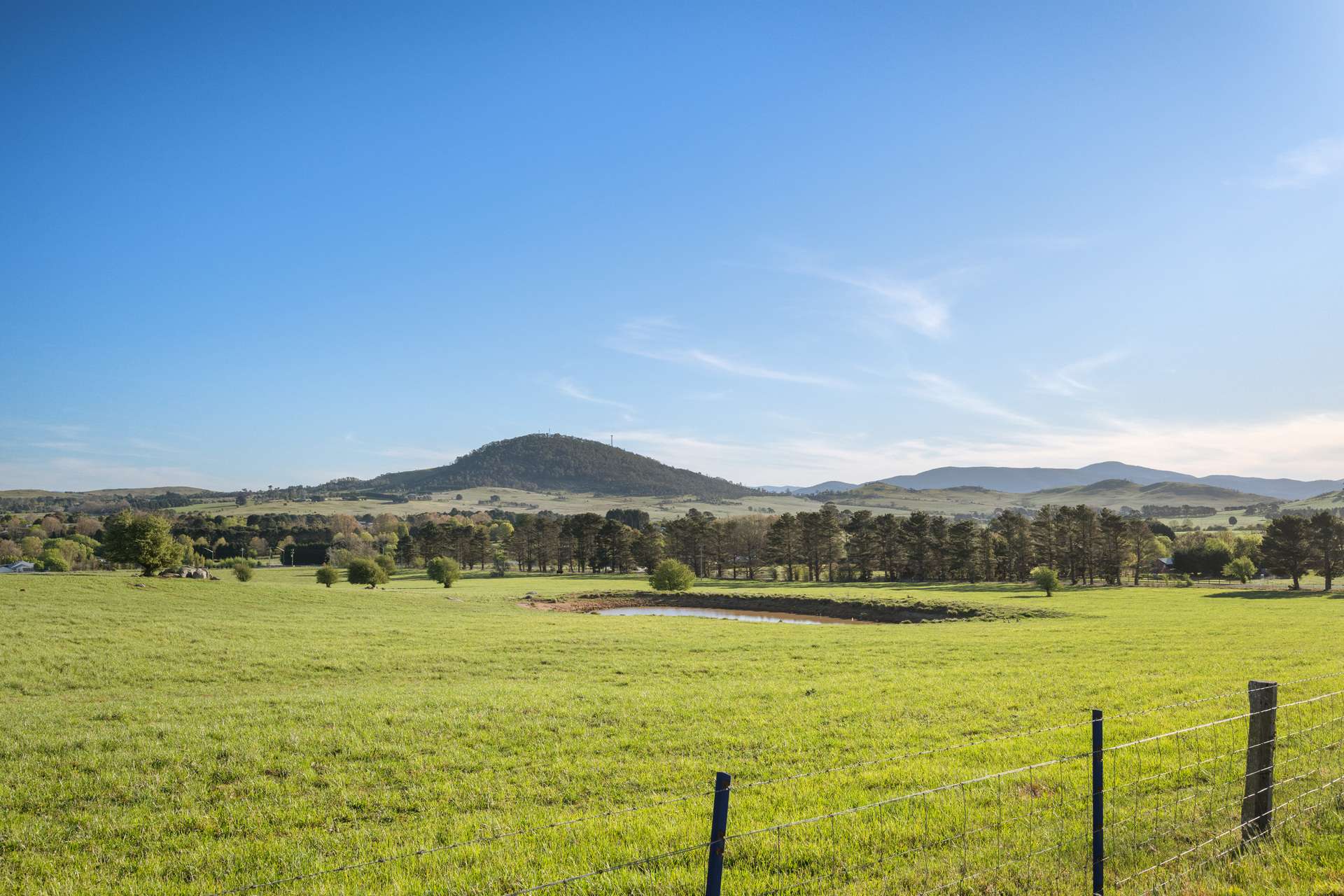 228 Wallace Street, Braidwood For Sale by Farmbuy.com - image 7