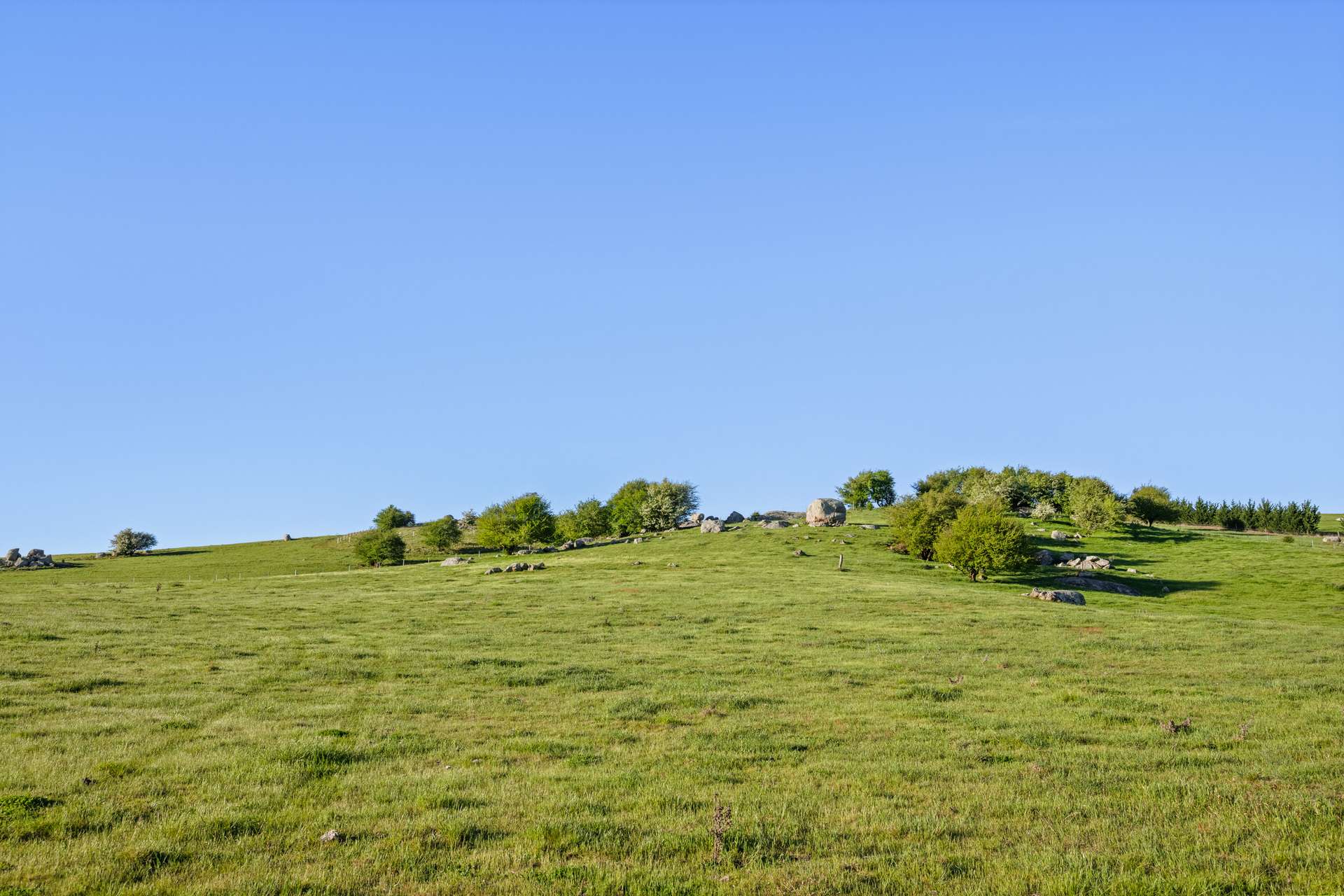 228 Wallace Street, Braidwood For Sale by Farmbuy.com - image 8