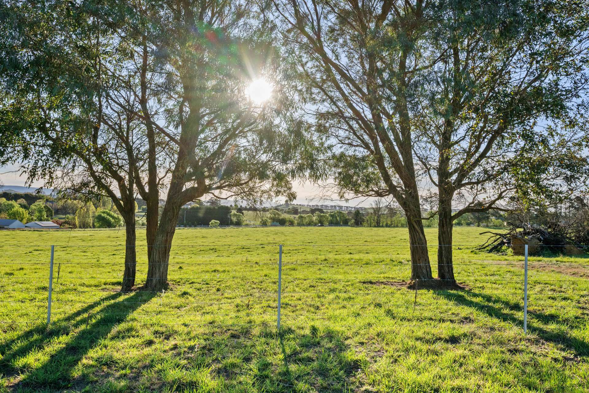 228 Wallace Street, Braidwood For Sale by Farmbuy.com - image 28