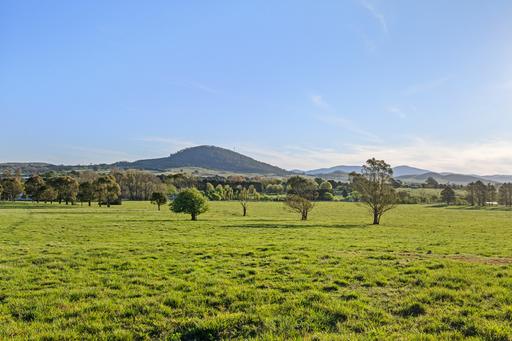 228 Wallace Street, Braidwood NSW 2622