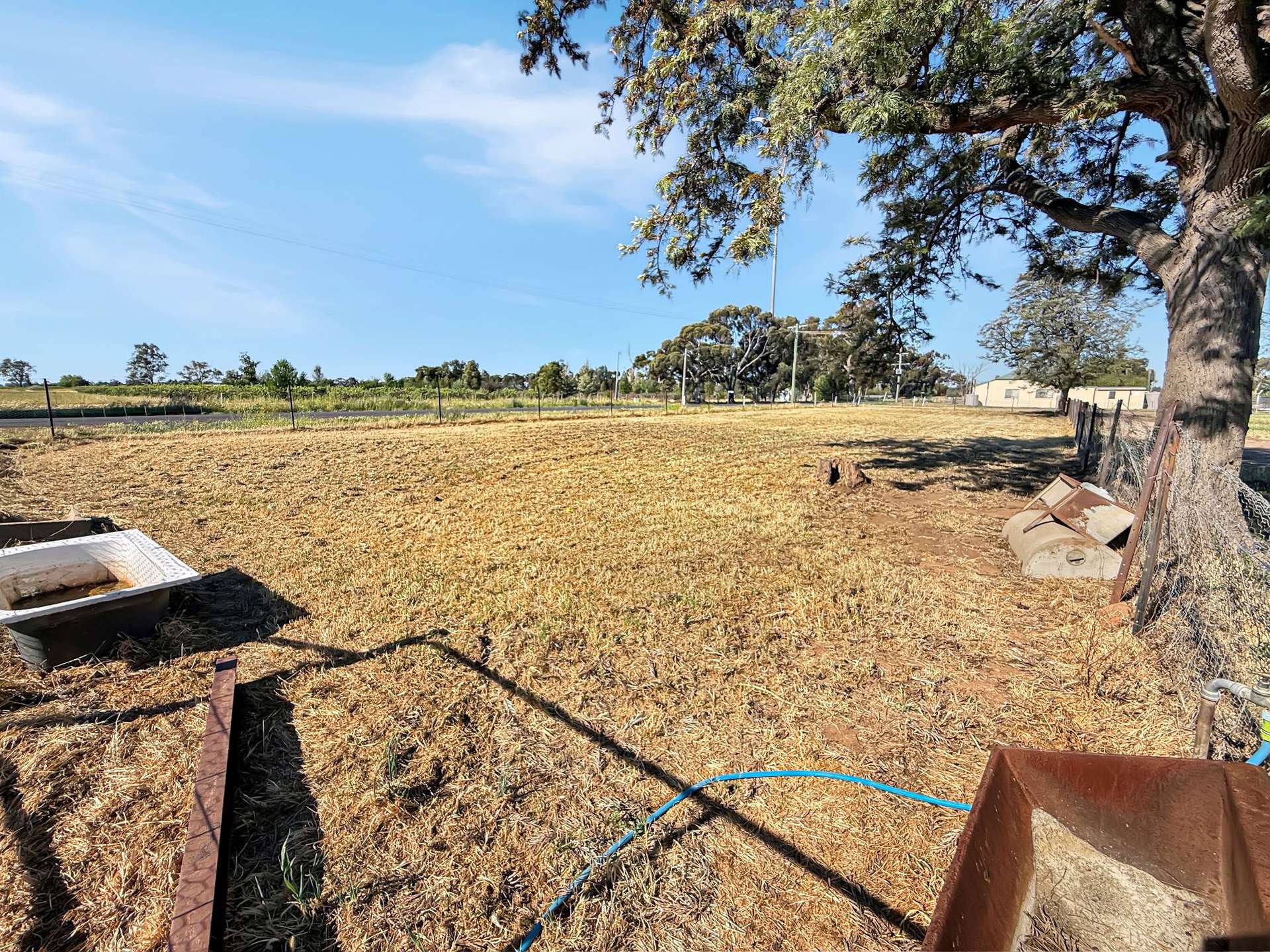 291 Research Road, Yanco For Sale by Farmbuy.com - image 18