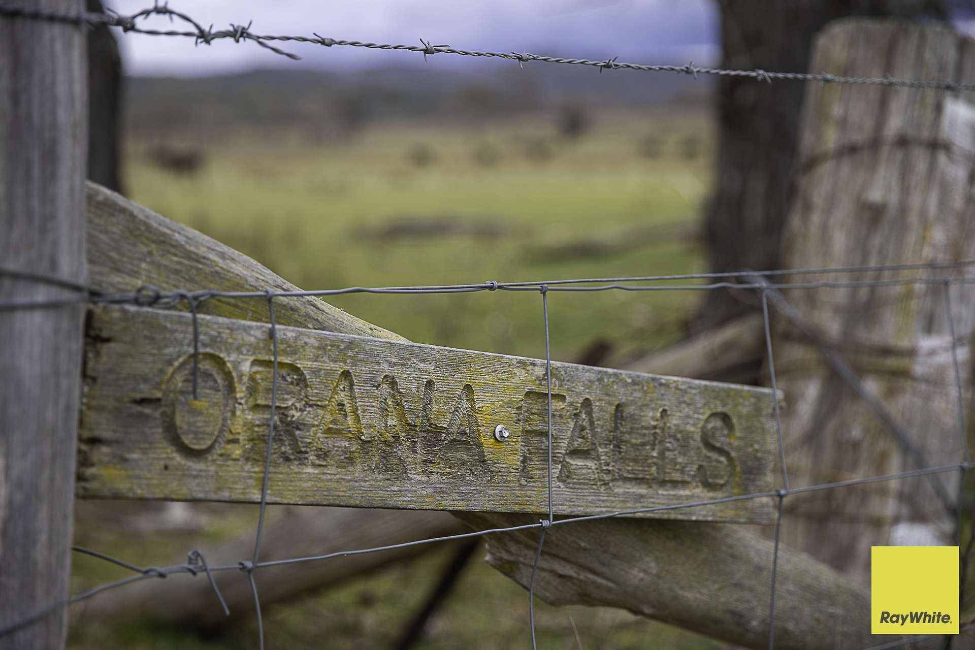369 Sunnyside Road, Armidale Auction by Farmbuy.com - image 17