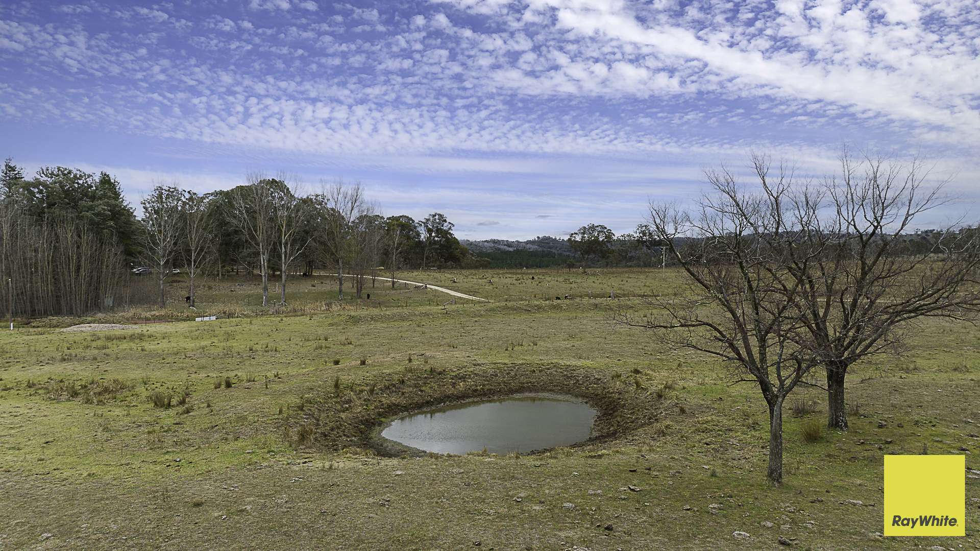 369 Sunnyside Road, Armidale Auction by Farmbuy.com - image 12