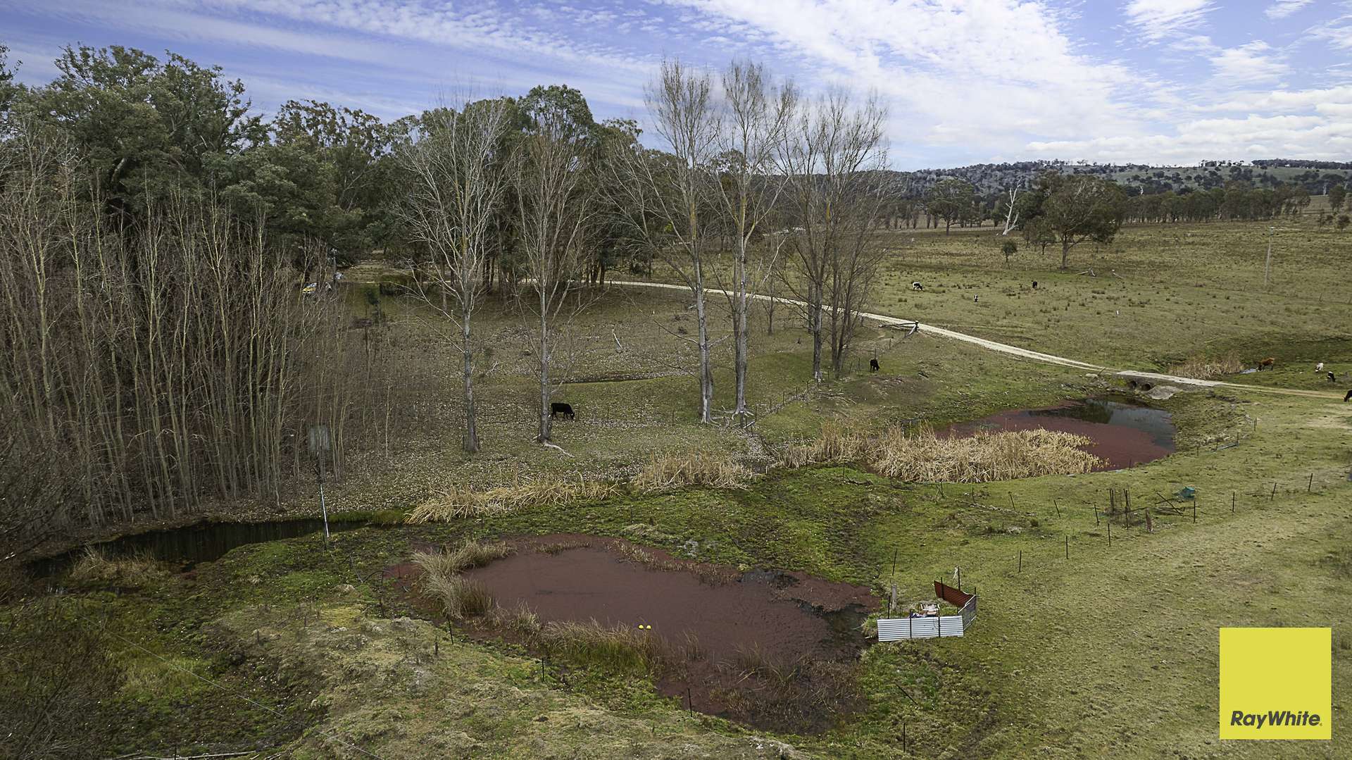 369 Sunnyside Road, Armidale Auction by Farmbuy.com - image 14