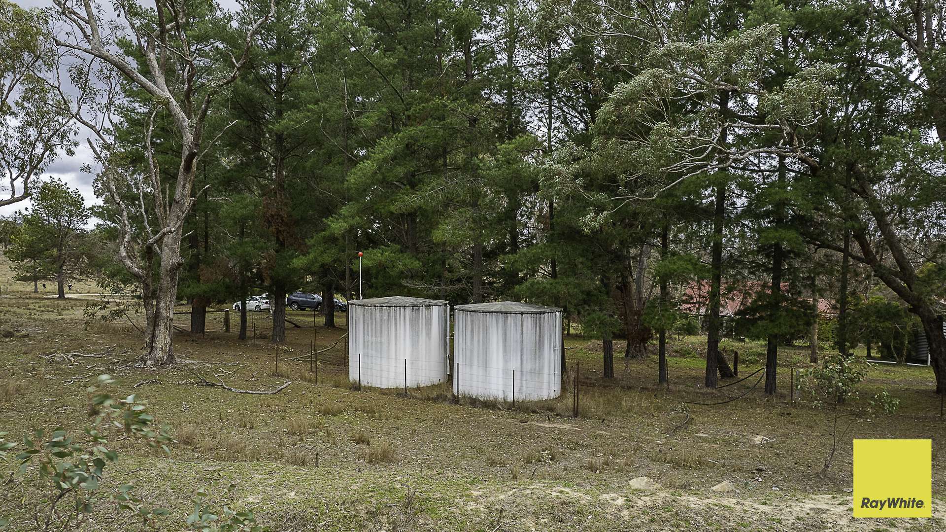 369 Sunnyside Road, Armidale Auction by Farmbuy.com - image 15
