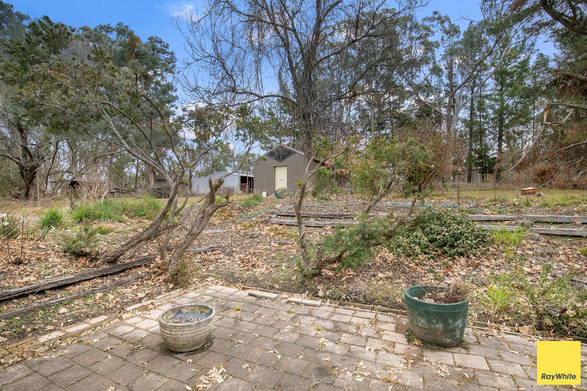 369 Sunnyside Road, Armidale Auction by Farmbuy.com - image 8
