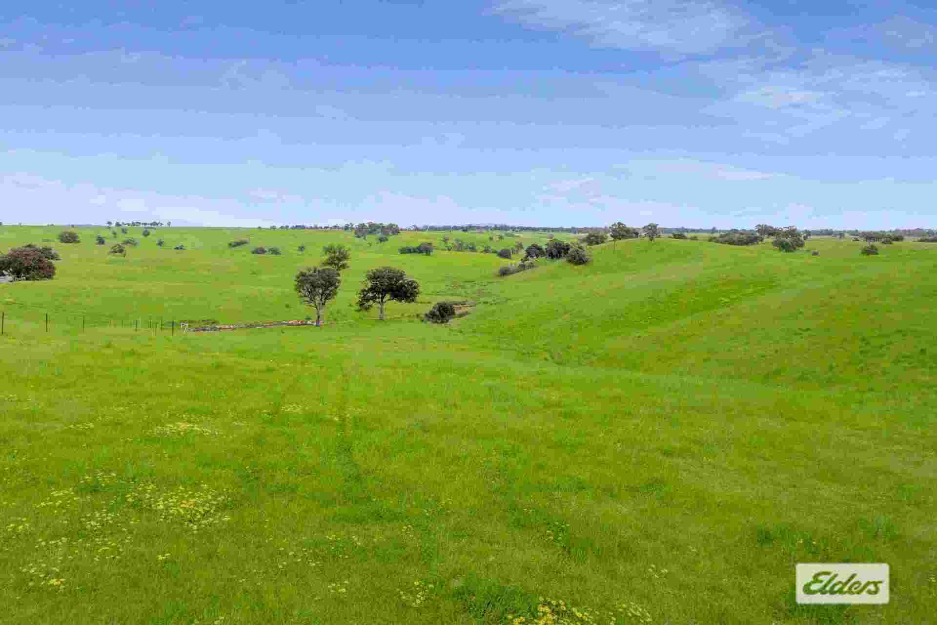 Duncans Lane, Glenhope For Sale by Farmbuy.com - image 9
