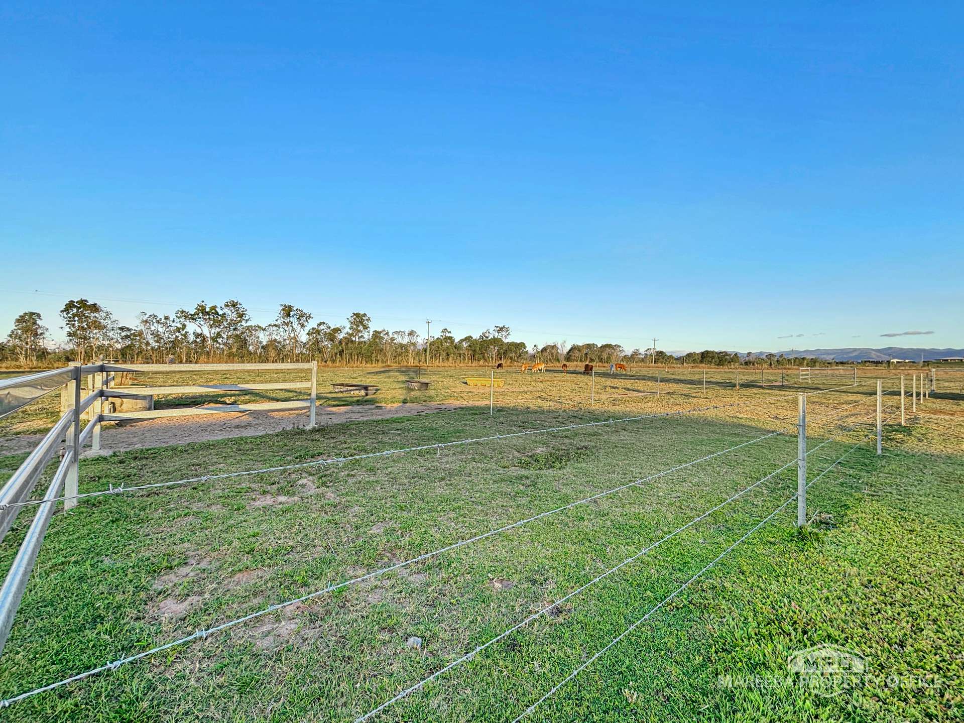 267 Shanty Creek Road, Mareeba For Sale by Farmbuy.com - image 18