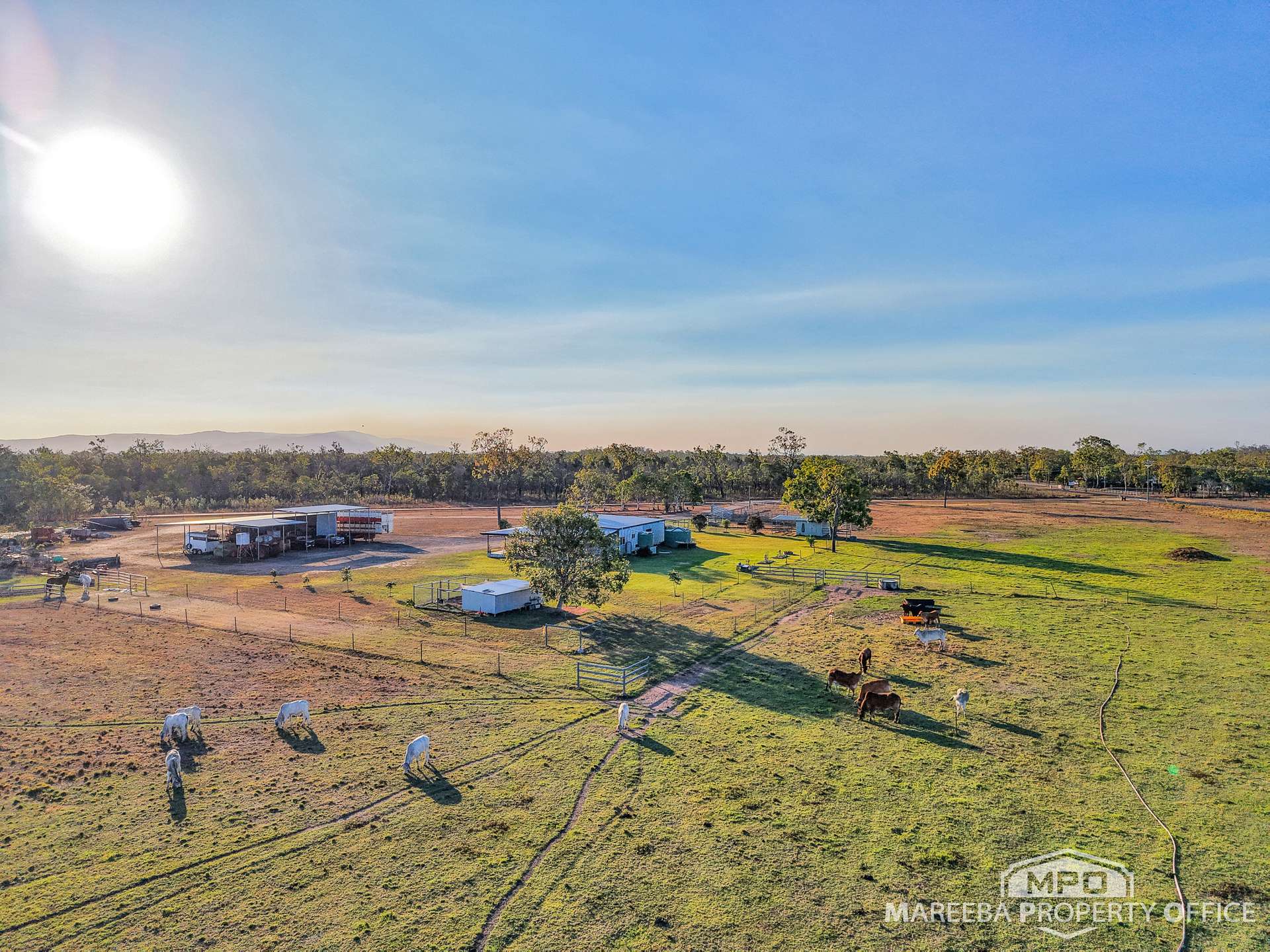 267 Shanty Creek Road, Mareeba For Sale by Farmbuy.com - image 26