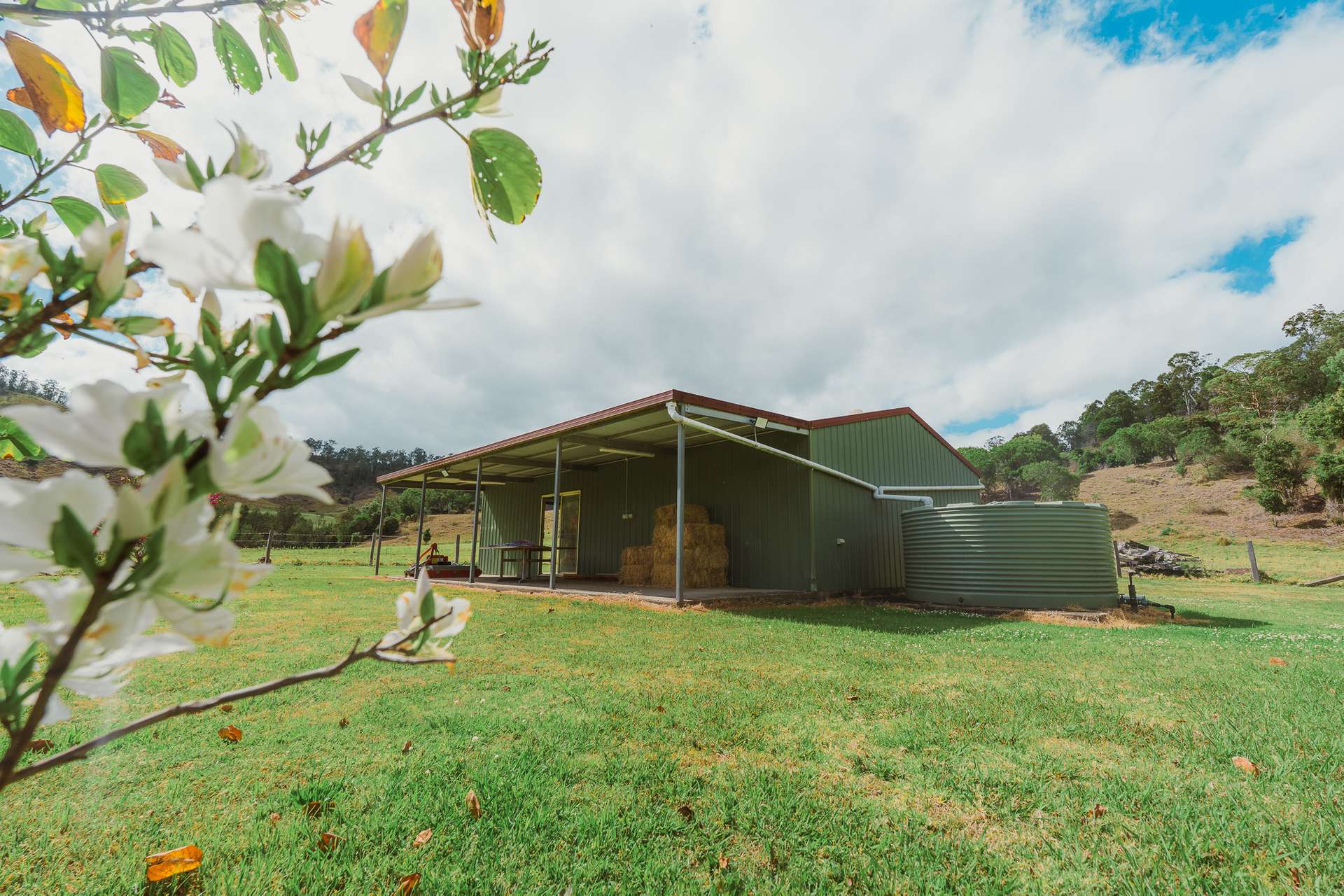 597 Sarabah Road, Sarabah For Sale by Farmbuy.com - image 21