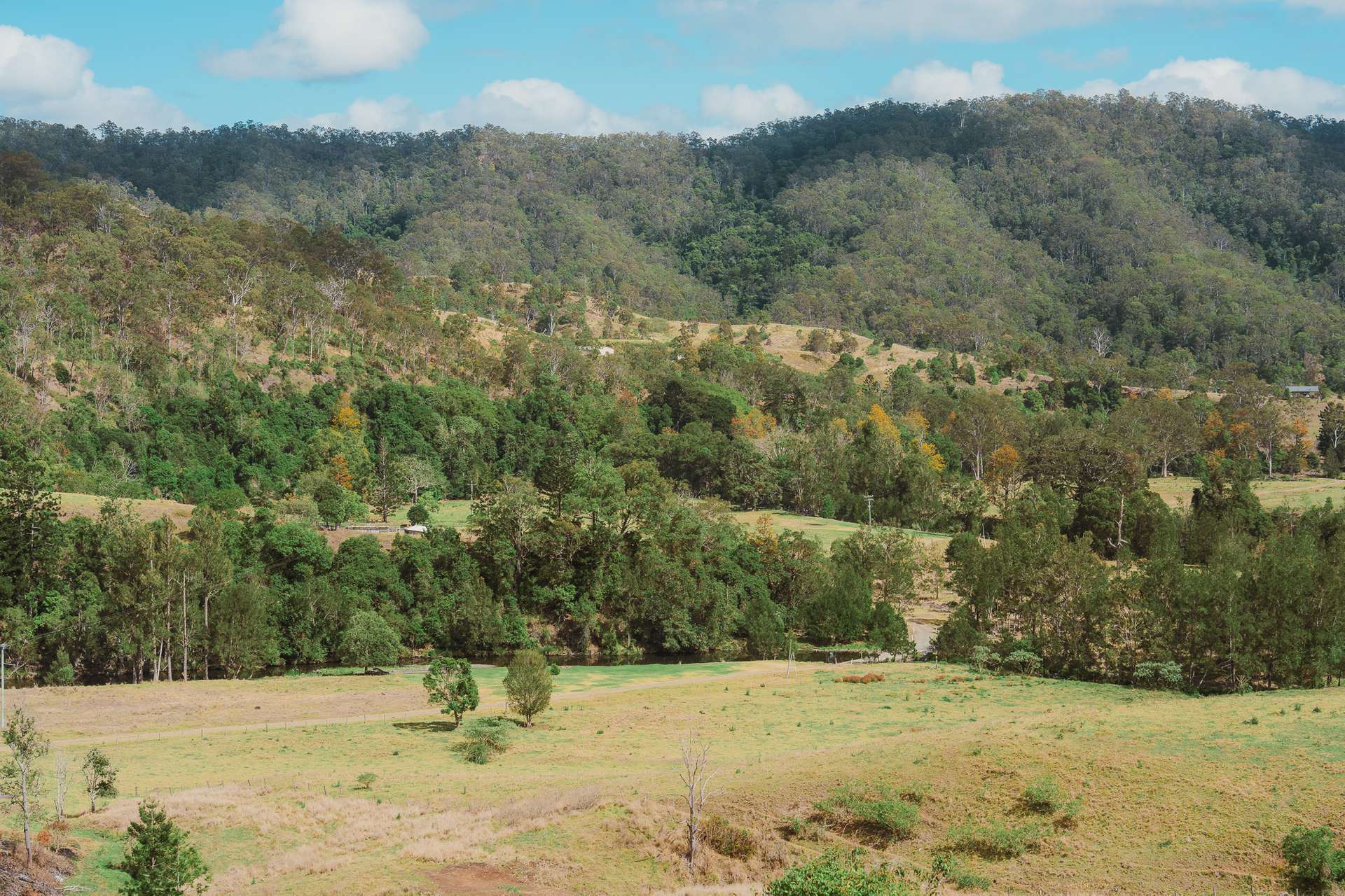597 Sarabah Road, Sarabah For Sale by Farmbuy.com - image 24